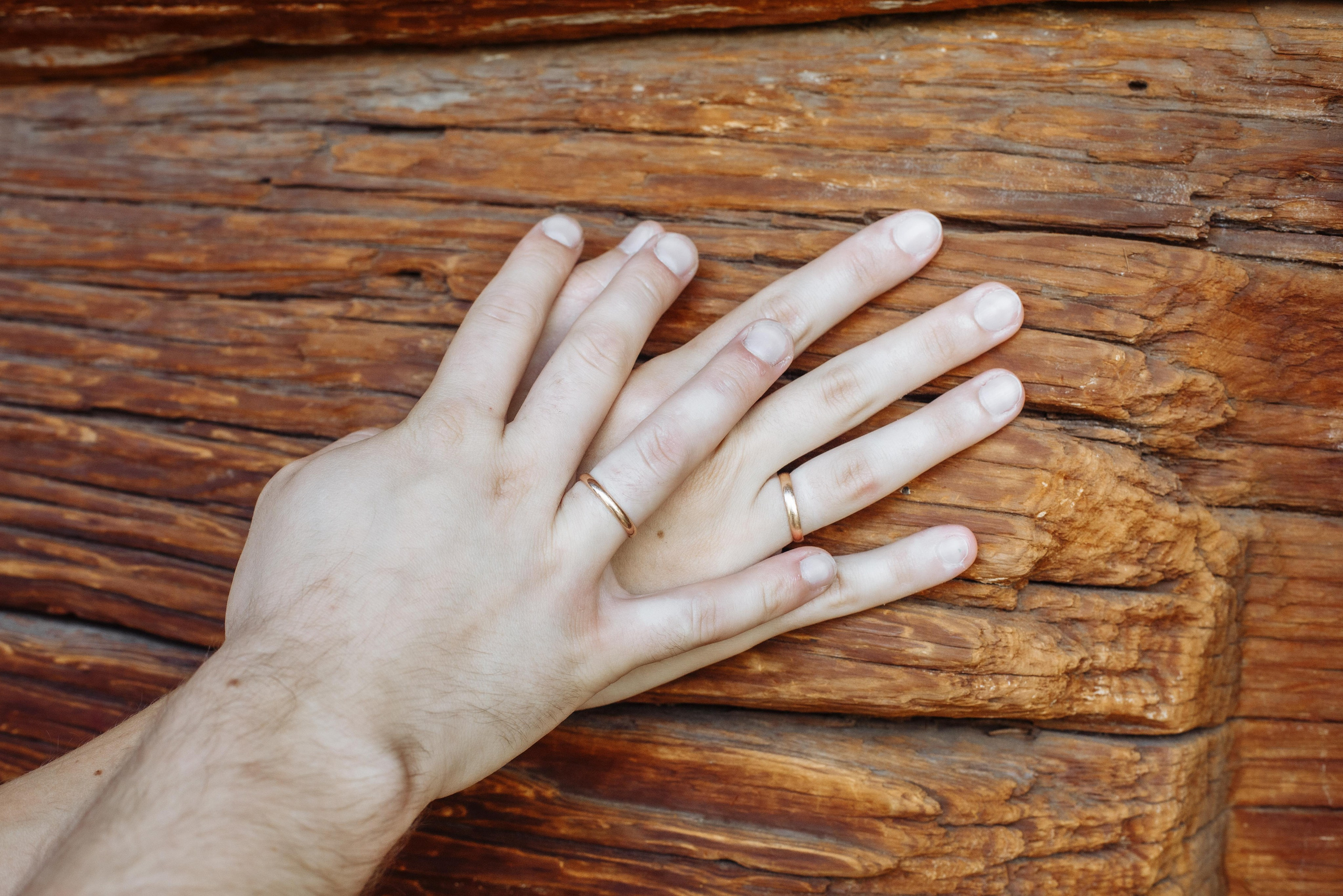 Подарок на годовщину или юбилей свадьбы это семейная фотосессия в парке Коломенское, записатся к фотографу через мессенджер на странице сайта 
