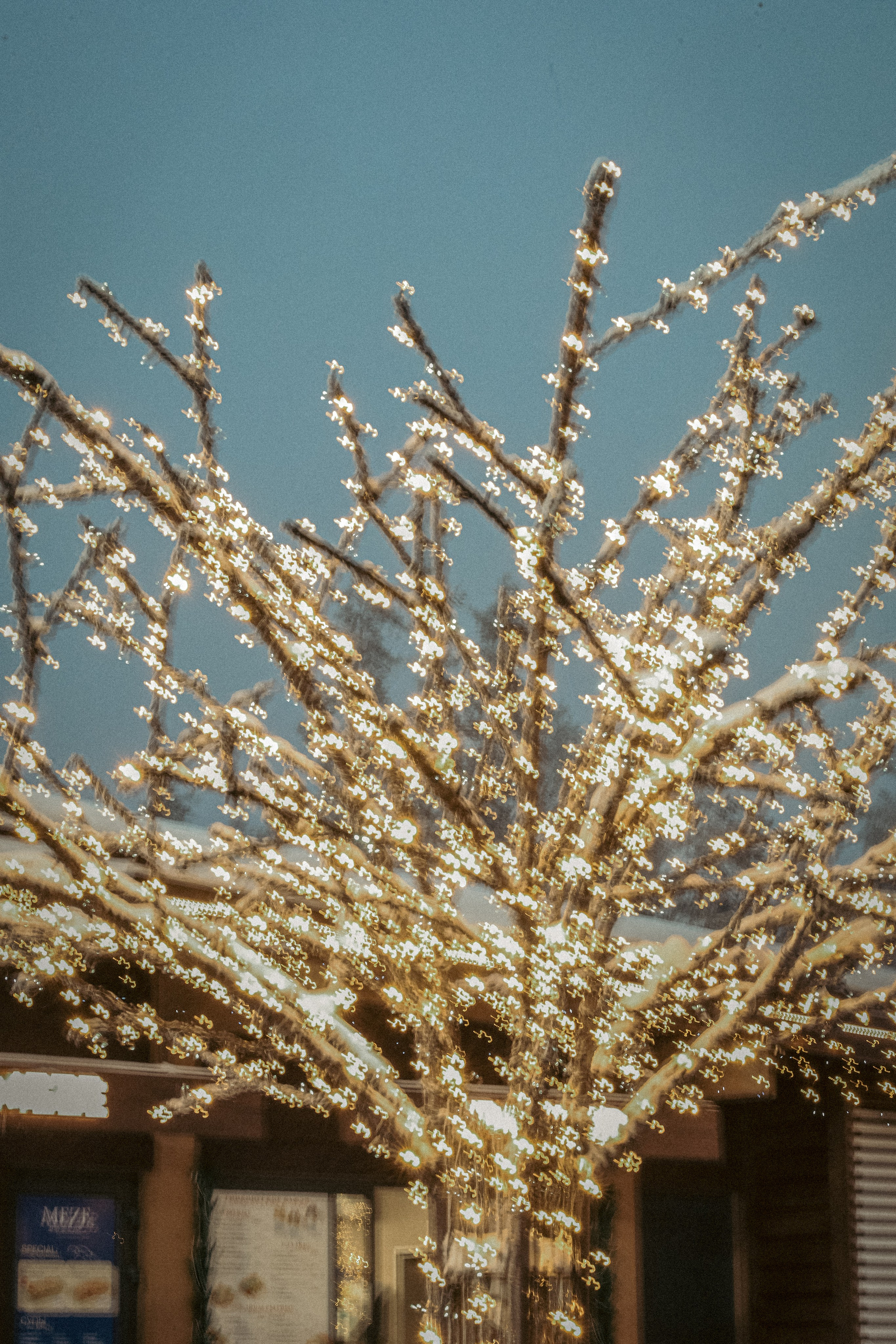 Природа &. Фотохудожник в СПб