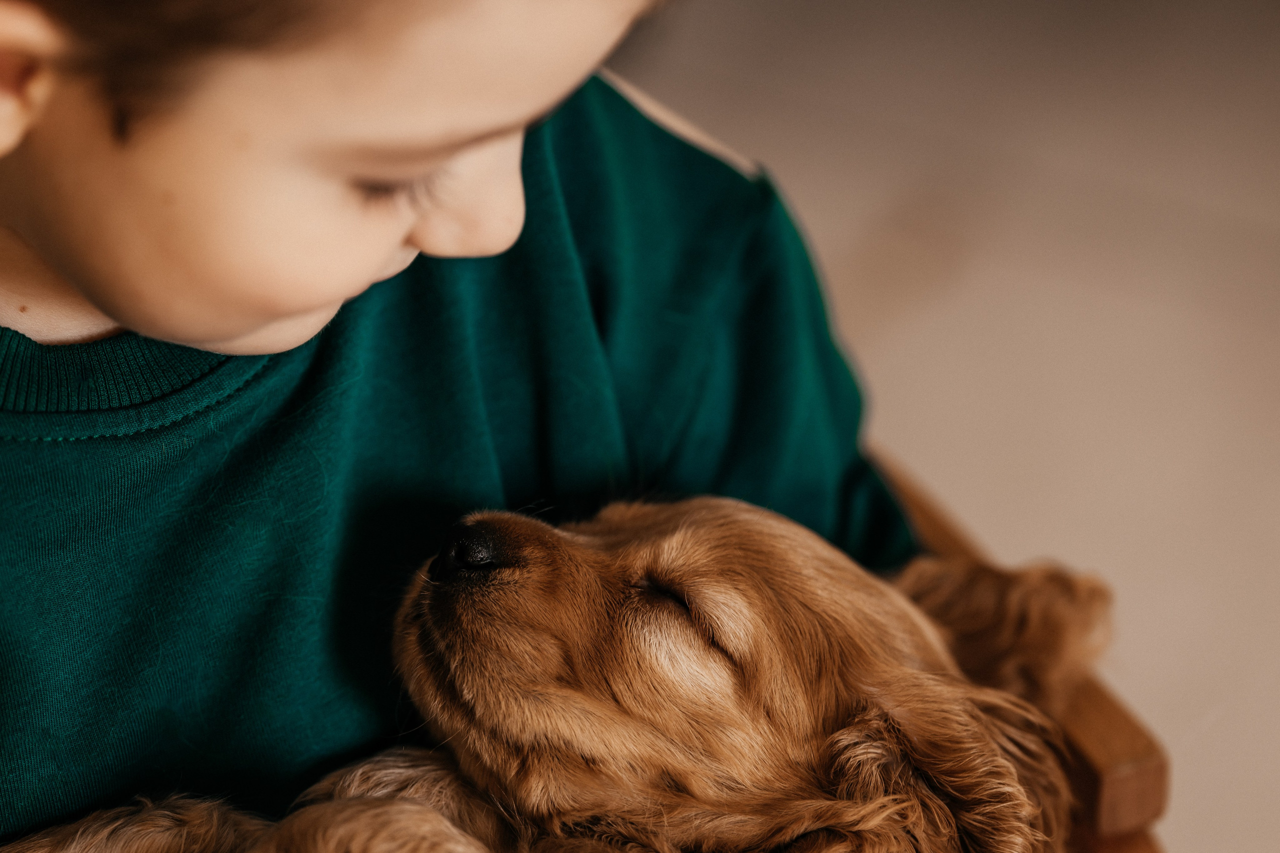 Открыта запись на новогодние фотосессии. Семейный фотограф в Чите Татьяна Фирсова