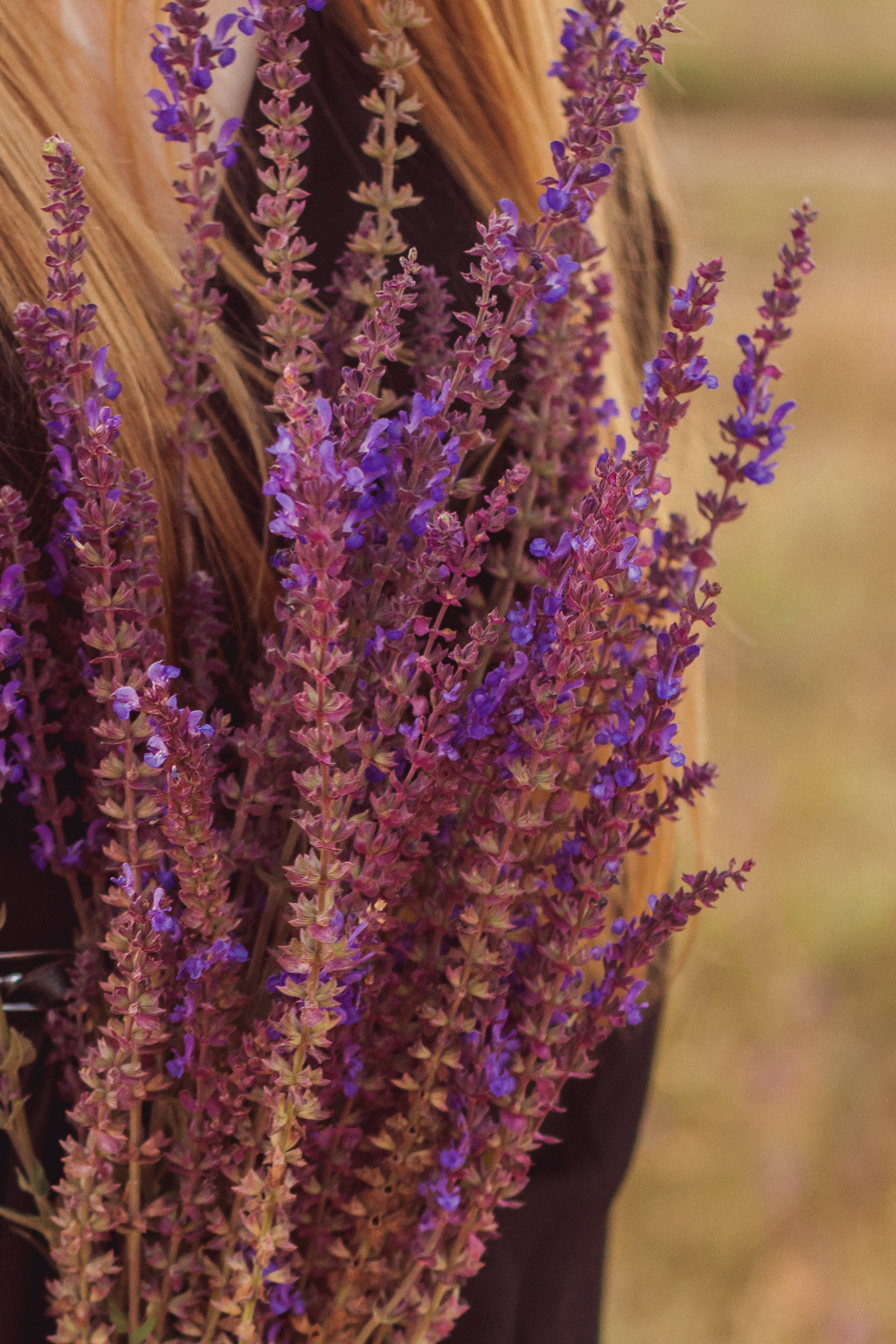 Юля / Алматы. Фотограф Наталья Гончарова. Снимаю живые портреты в Алматы