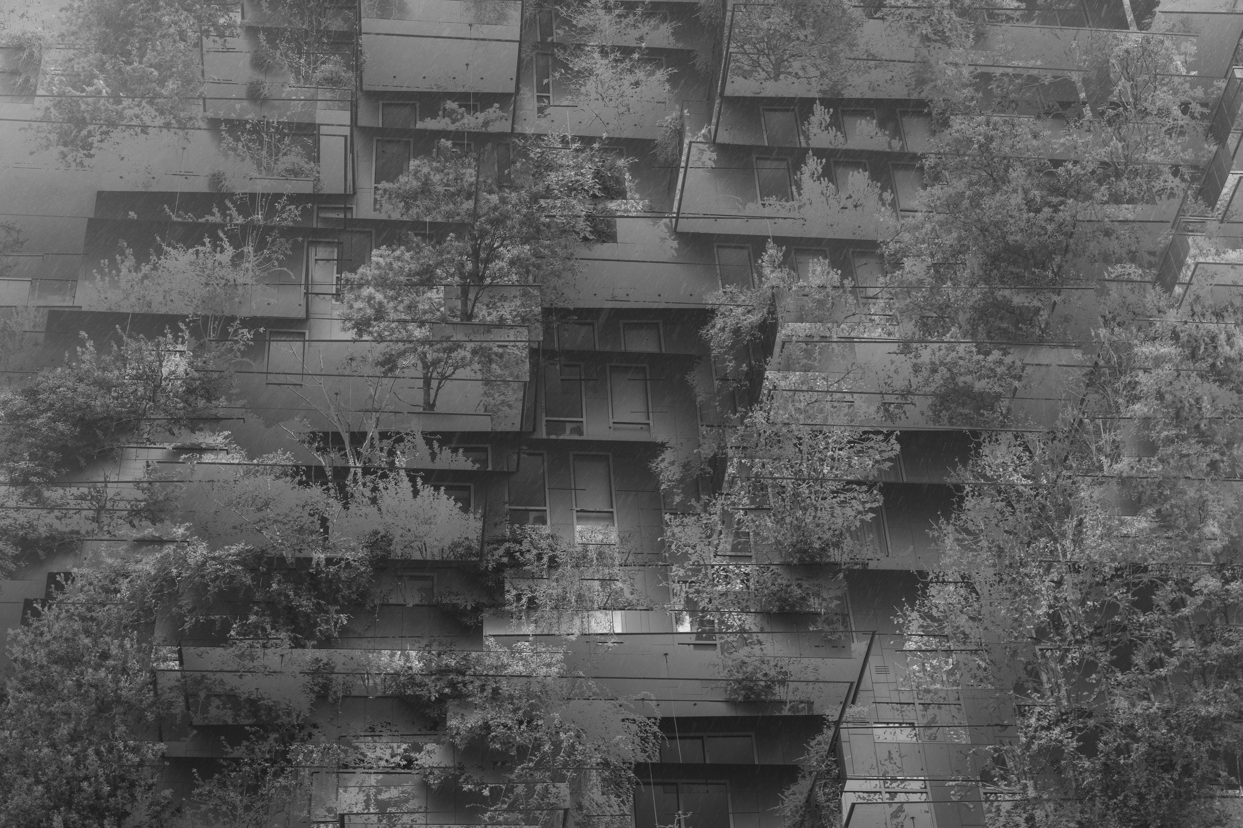 Art prints. Фотограф алина стерхова, алина стерхова фотограф, фотограф москва