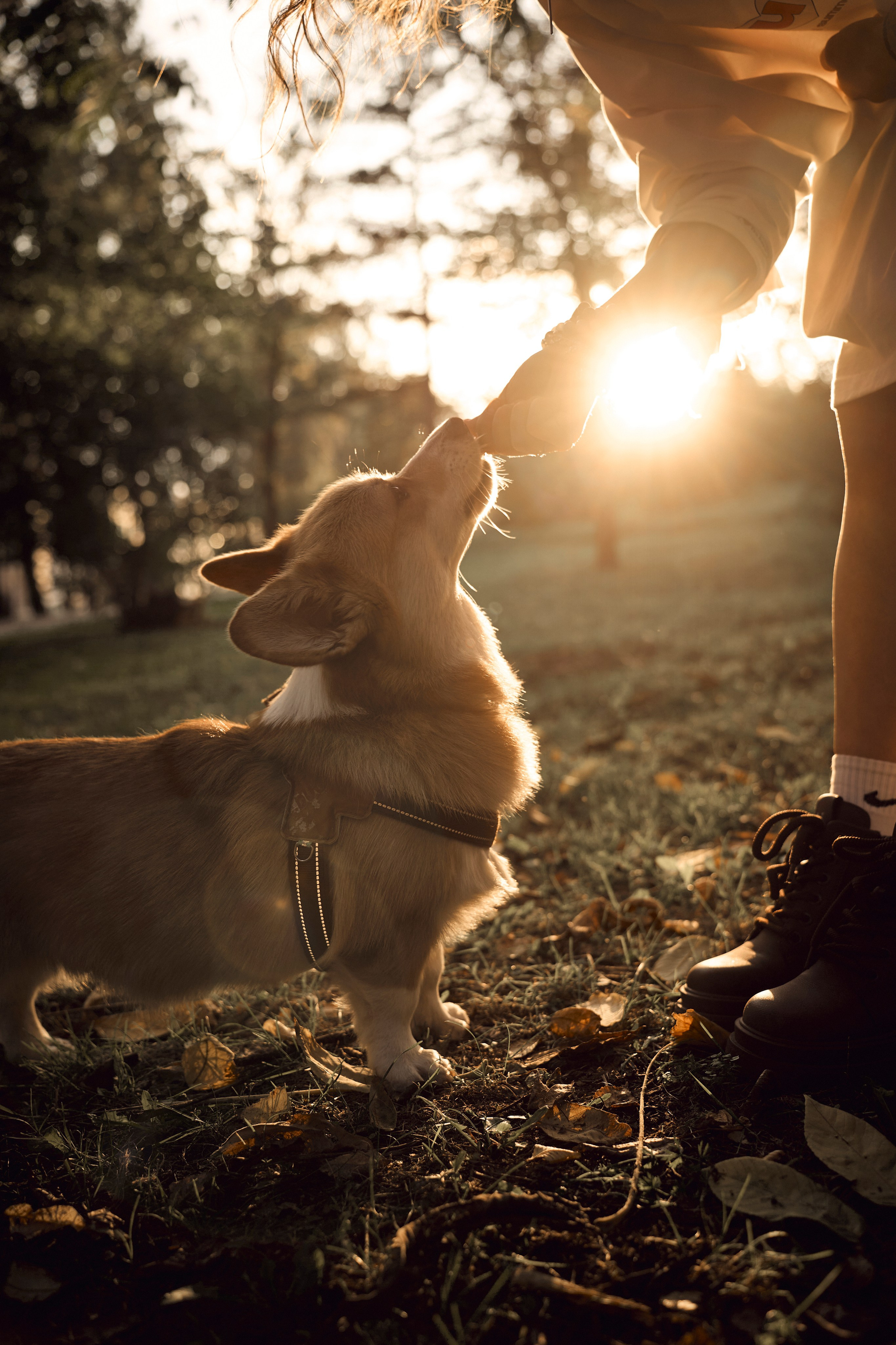 Марина. Ваш фотограф Анастасия Болотникова