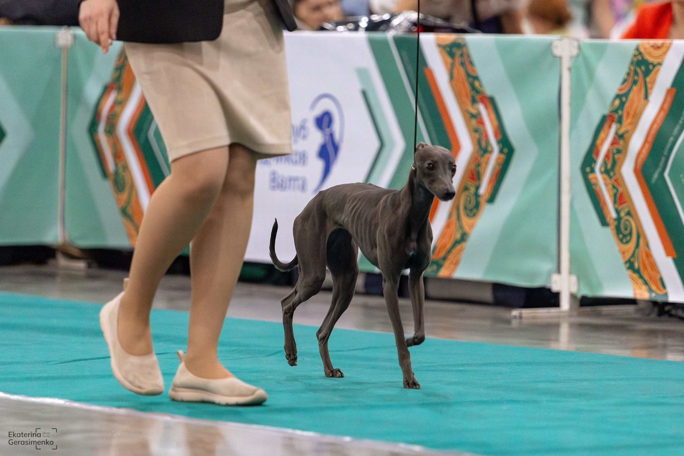 16–17 ноября 2024, Выставка ЕВРАЗИЯ, г. Москва. Htykk_photo