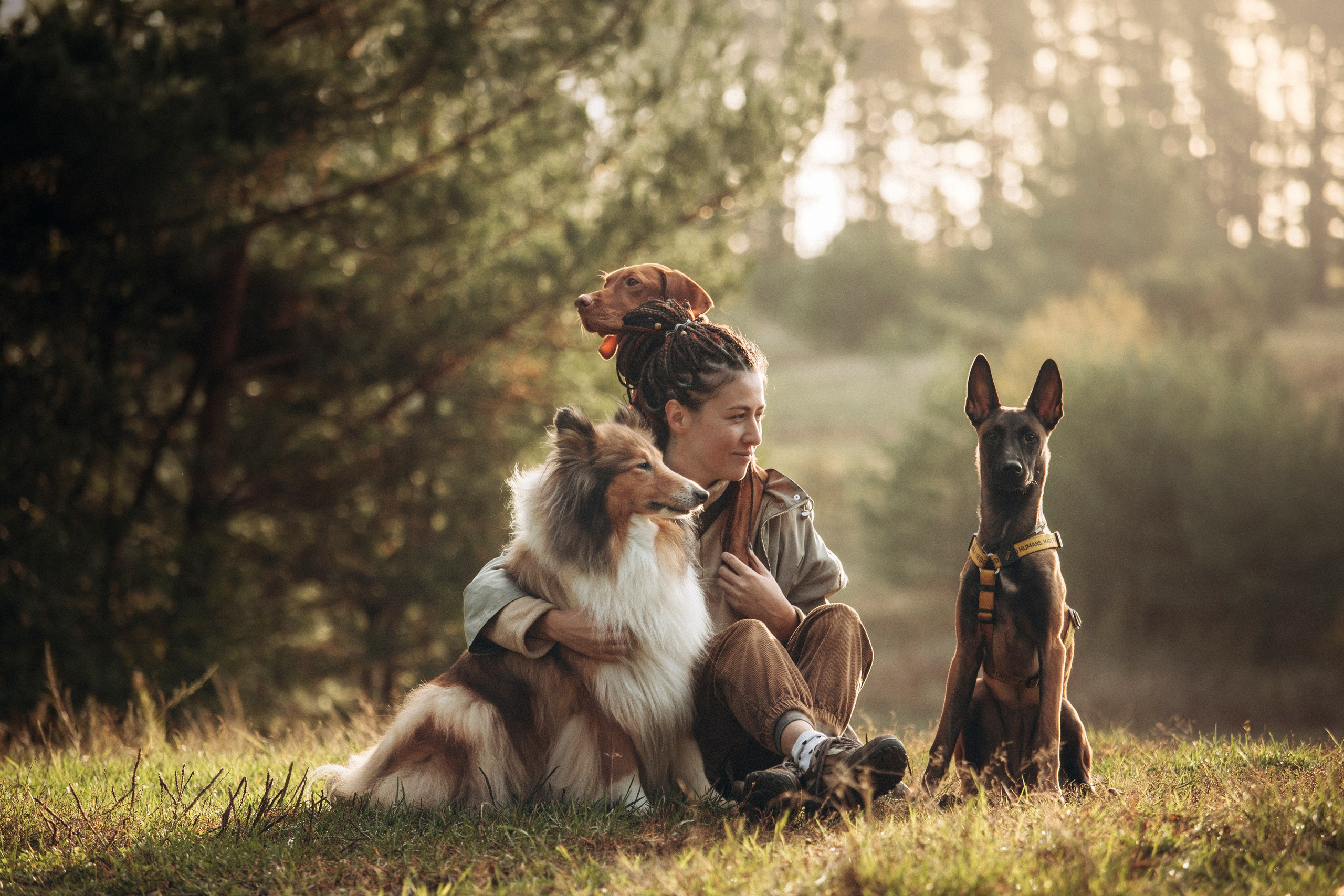 Трисс, Эста, Яся и их семья. Фотограф — Анималист | Санкт-Петербург