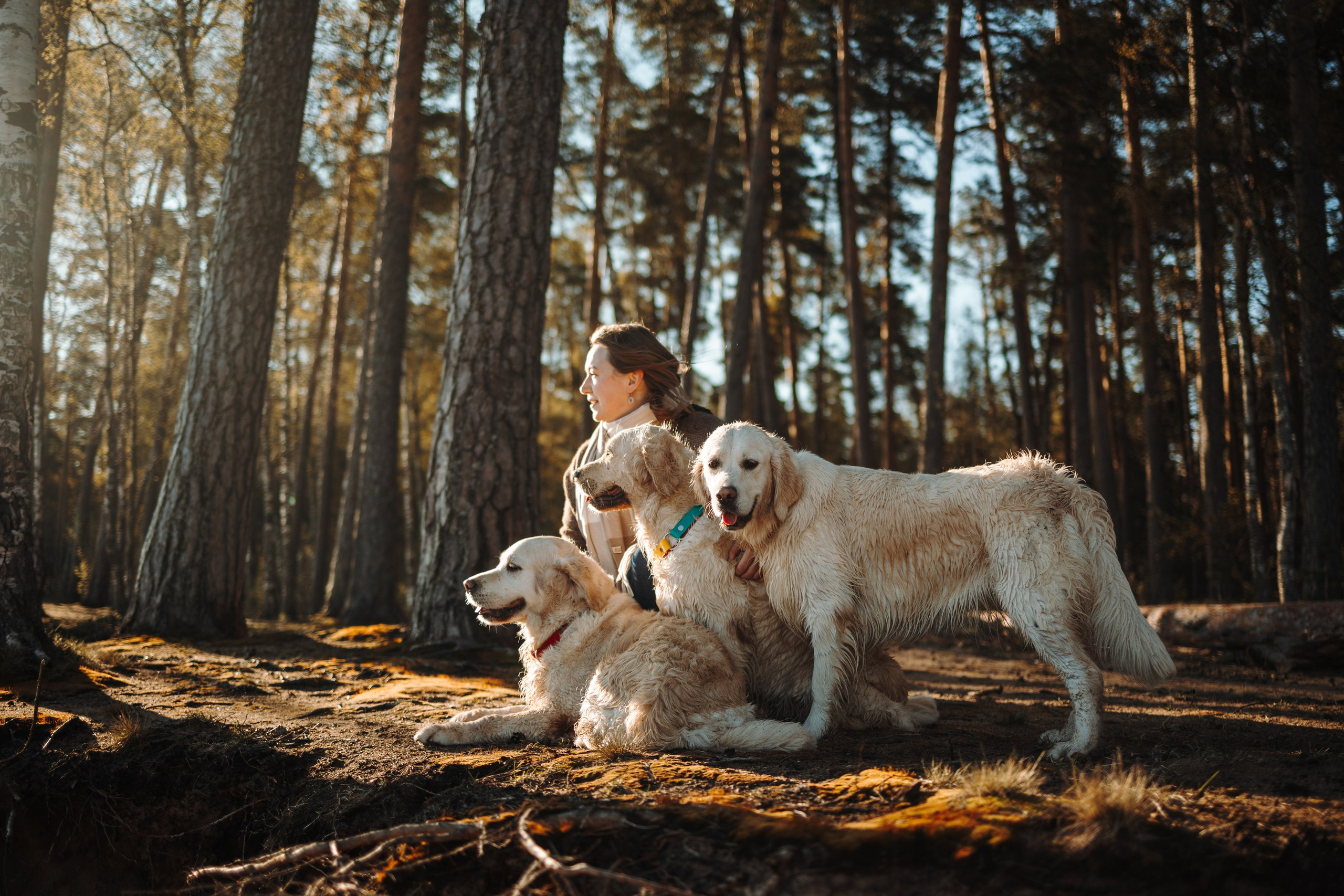 Катя и ее девочки. Фотограф — Анималист | Санкт-Петербург