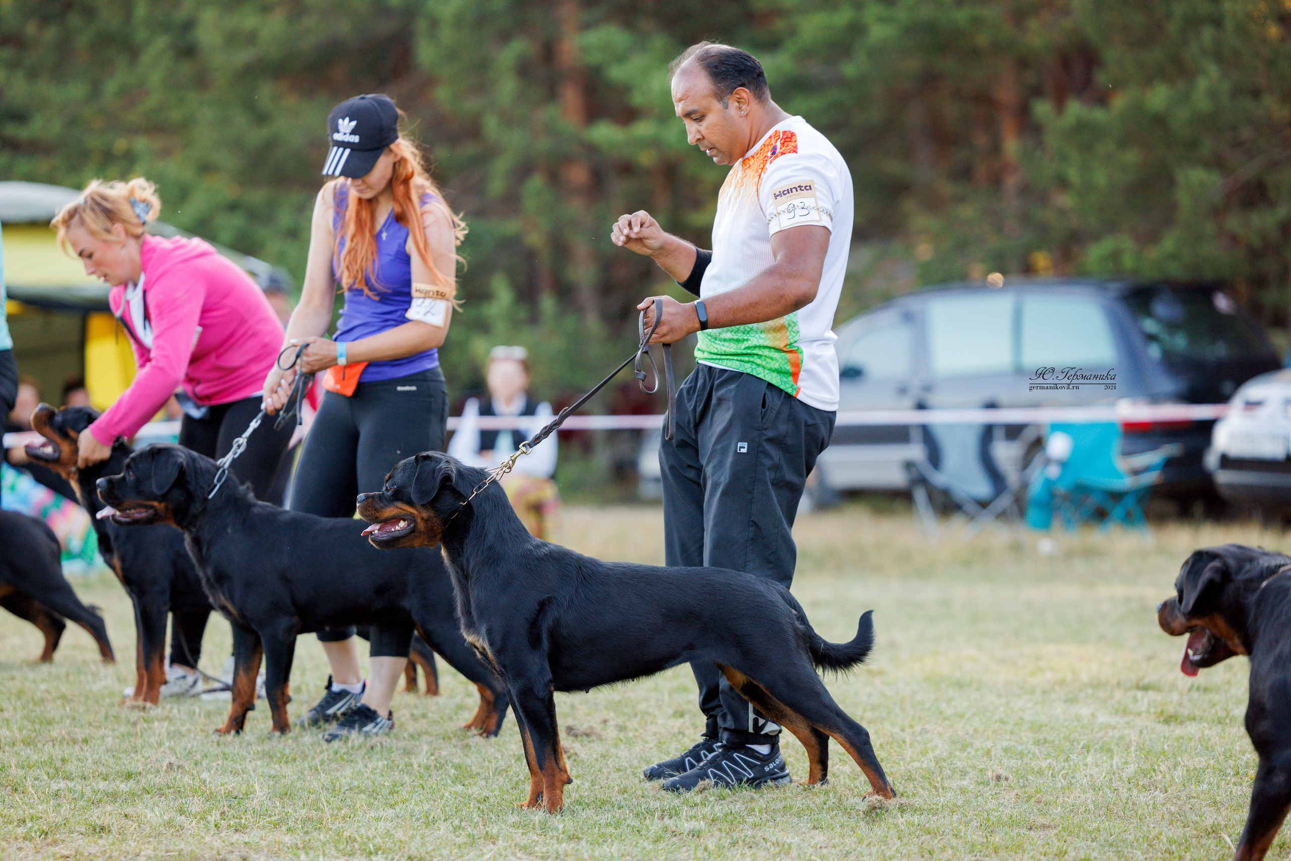 ПК и КЧК ротвейлеры Тверь 6-7.07.2024. Фотограф-анималист Юлия Германика