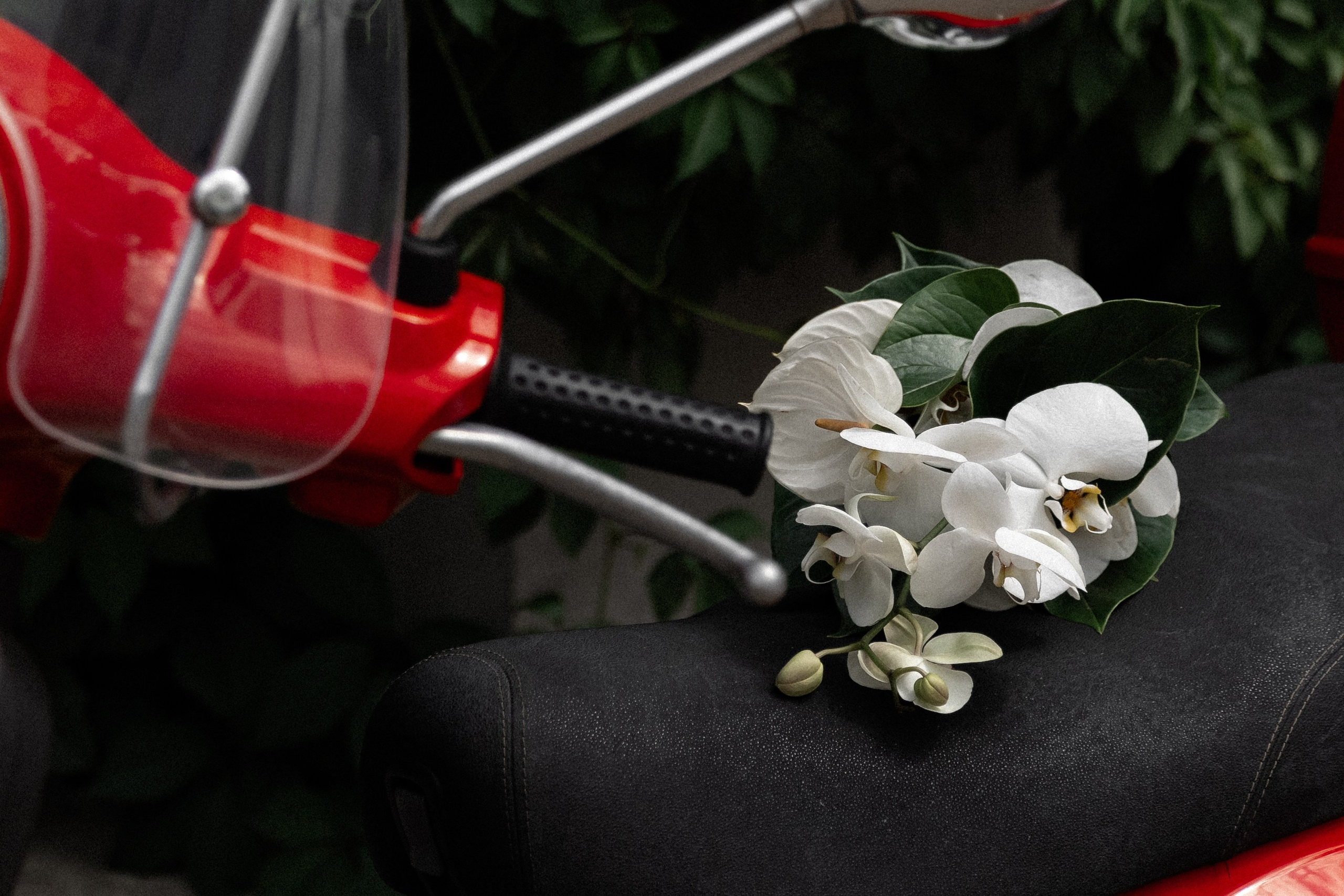 Любовь как искусство. Kamaeva.ru