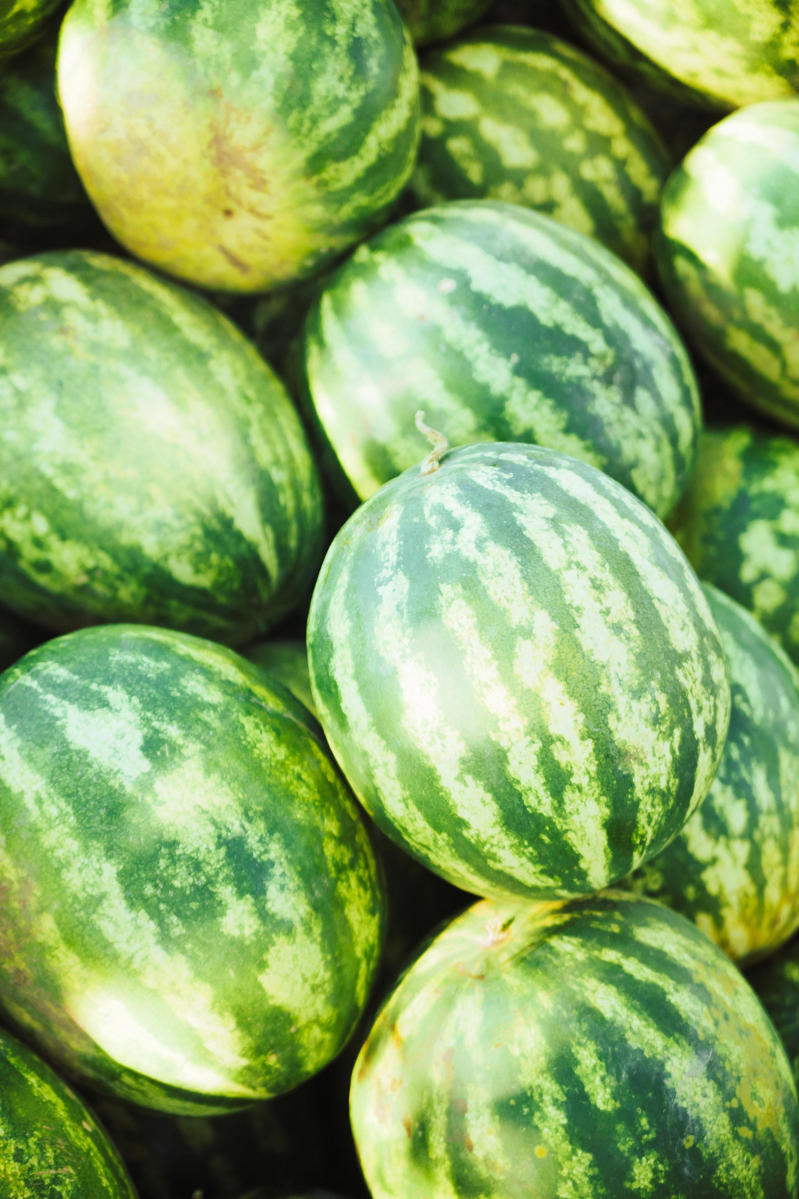 2+1 город горы и арбузы. Семен Соколов