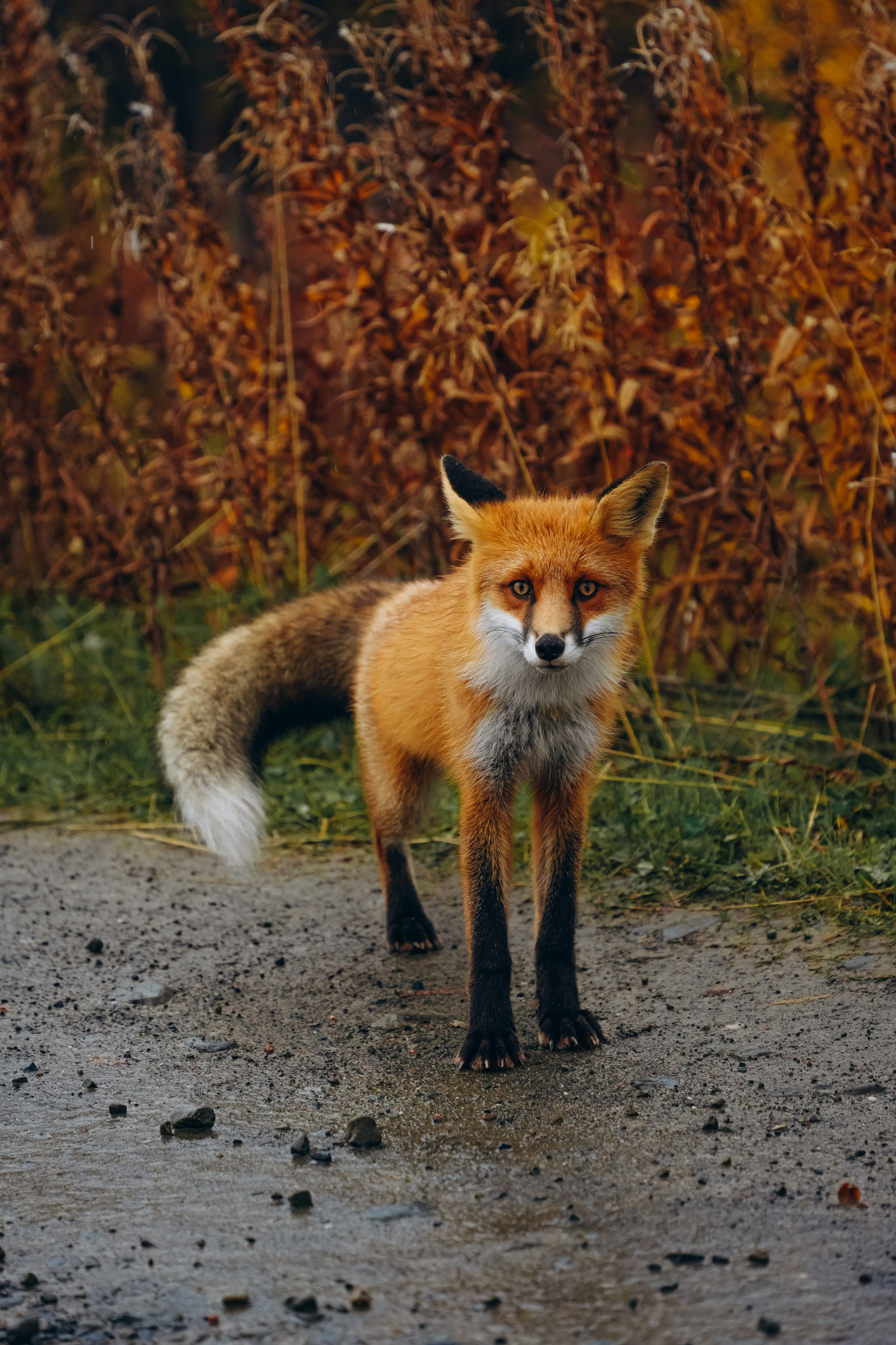СЕВЕР. Event фотограф Степанова Александра