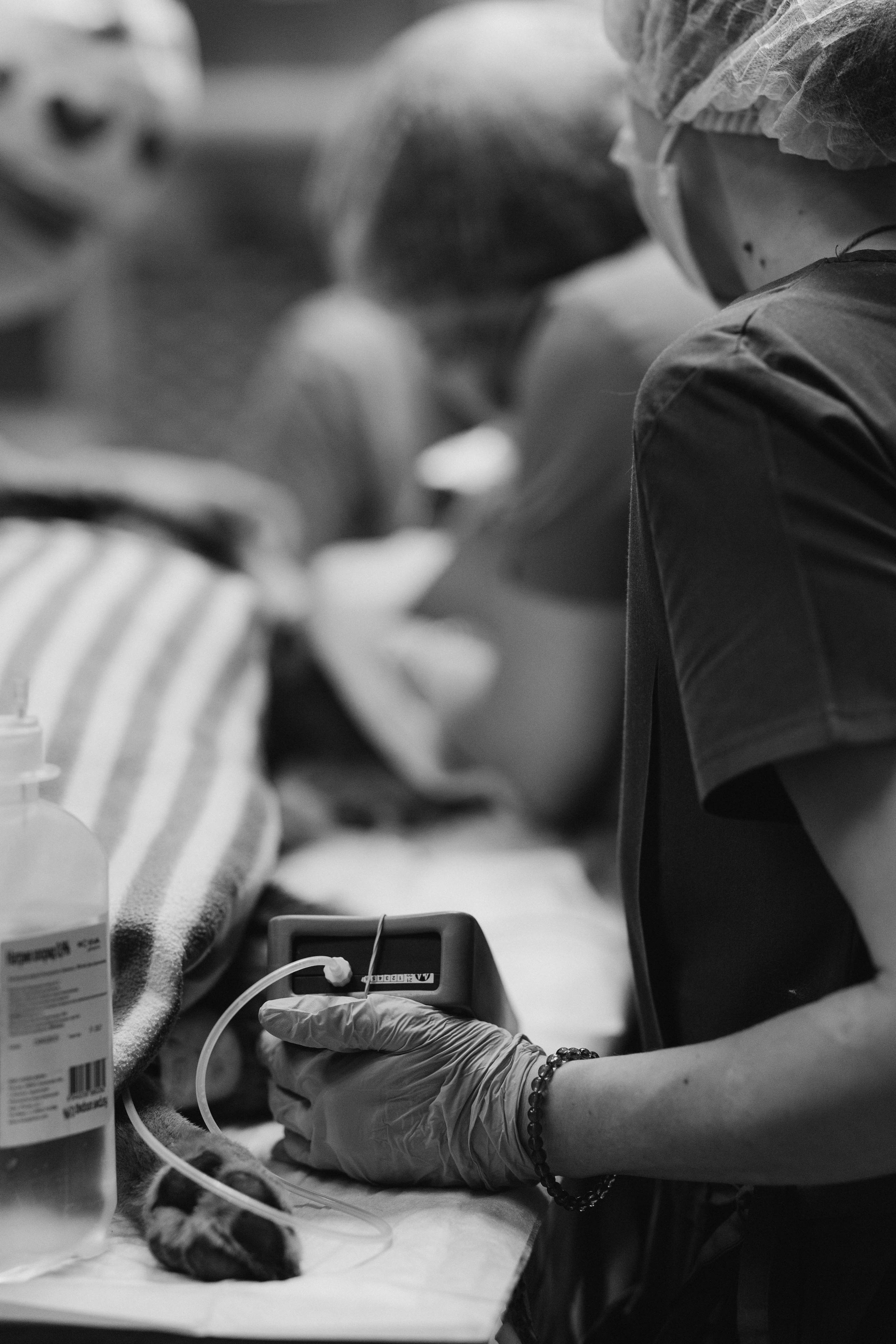 VetLife. Татьяна Афонина | Фотограф