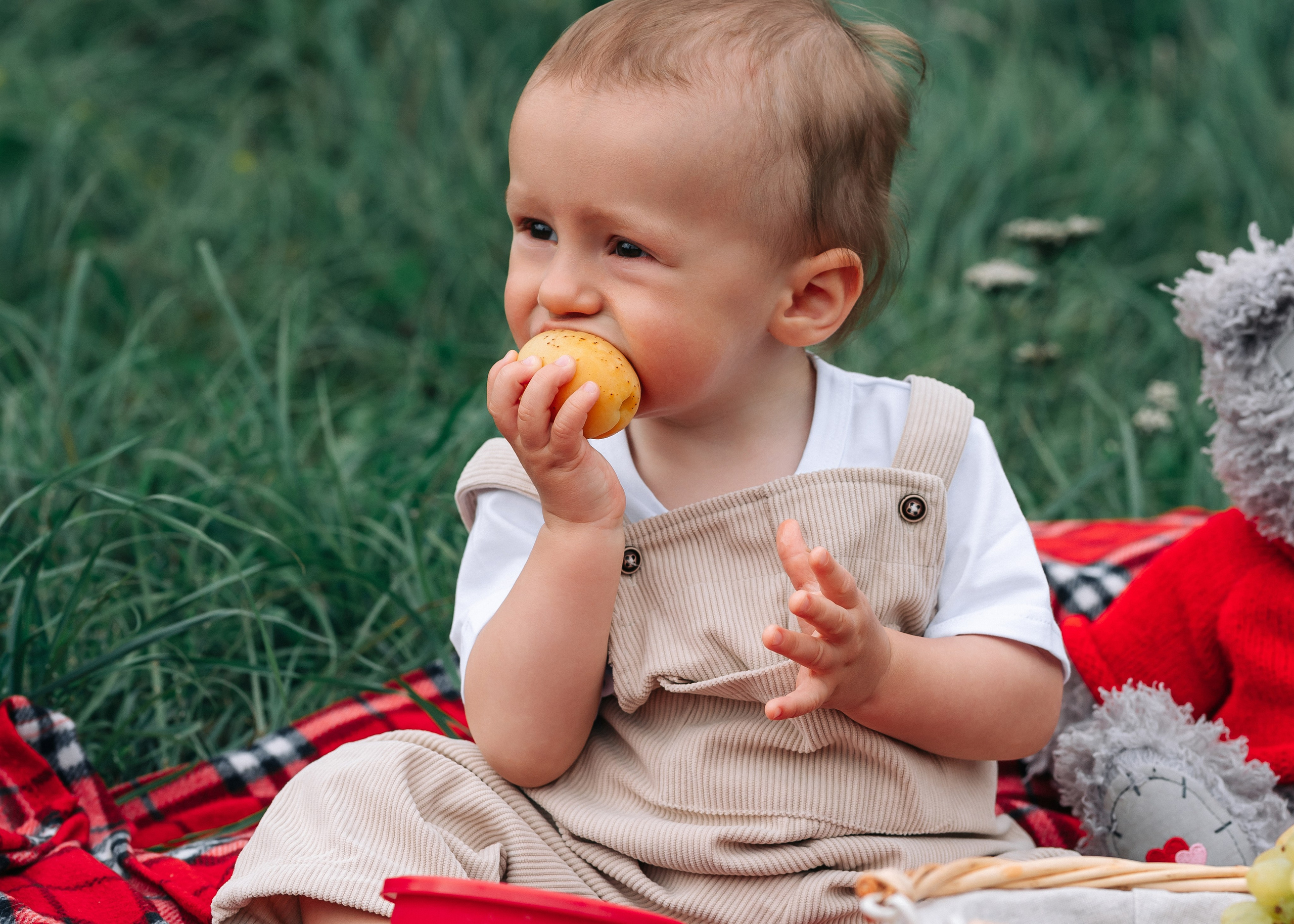1 Год. Крамер Юлиана детский и семейный фотограф