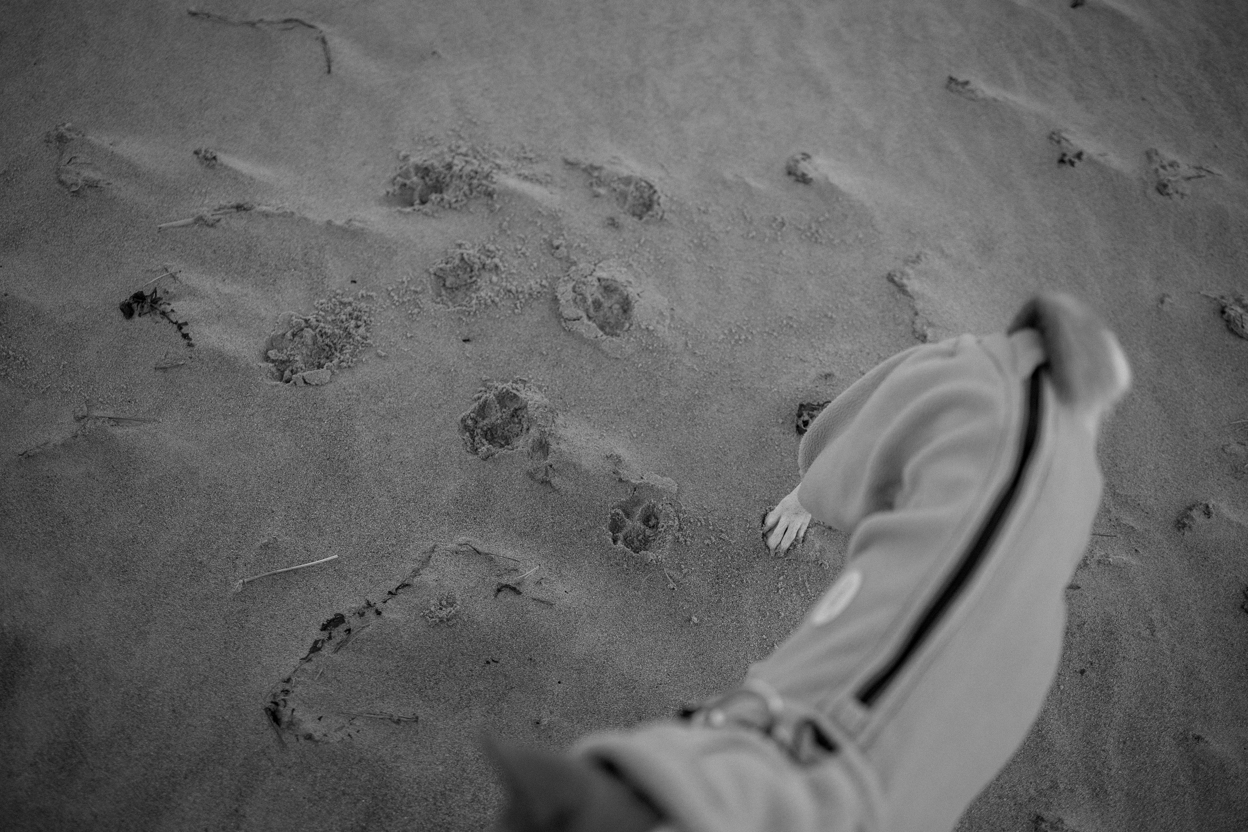 Алиса и Лео. Фотограф — Анималист | Санкт-Петербург