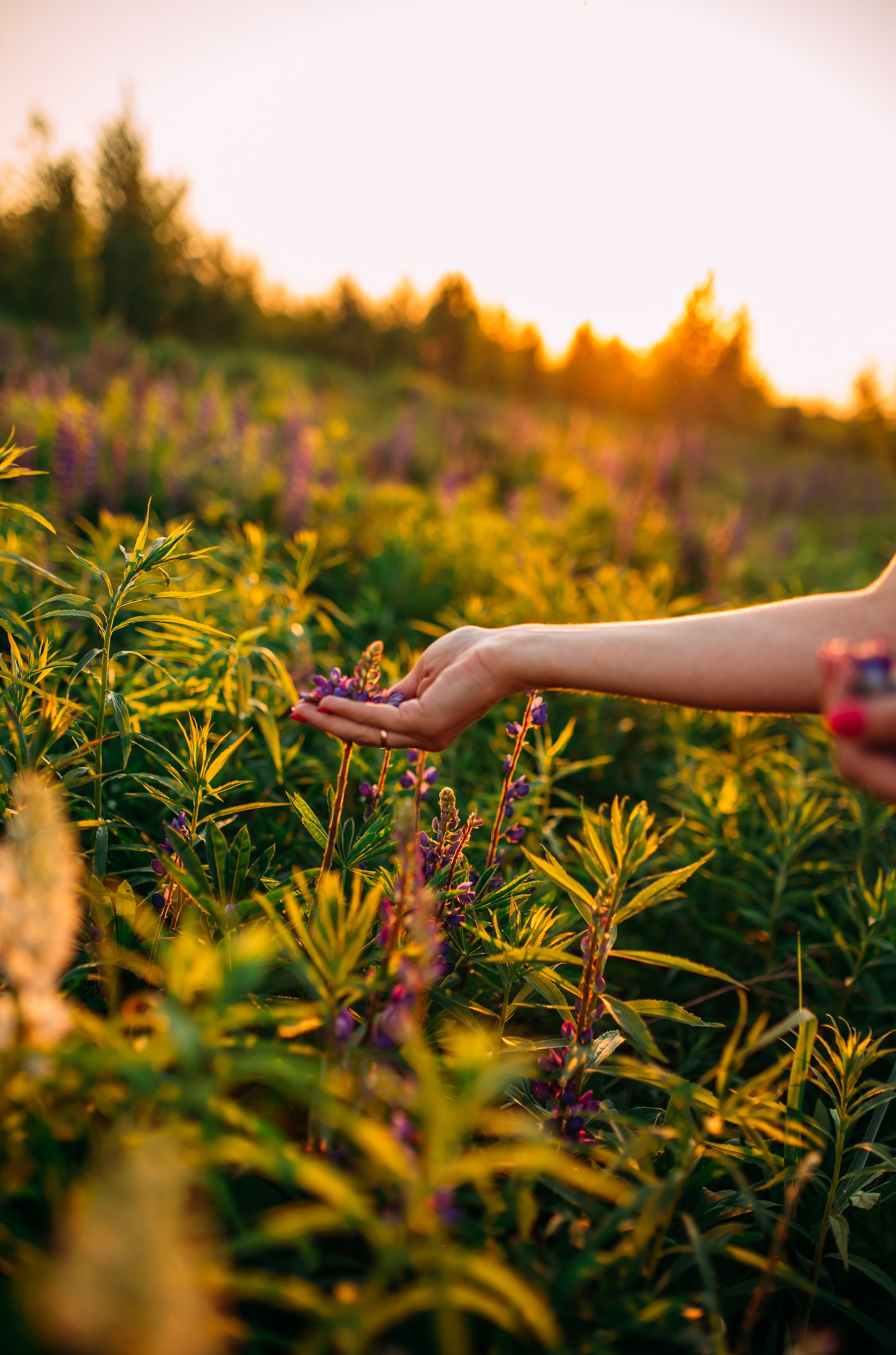 Летние портреты. Семейный и детский фотограф в Нижнем Новгороде Наумова Лидия