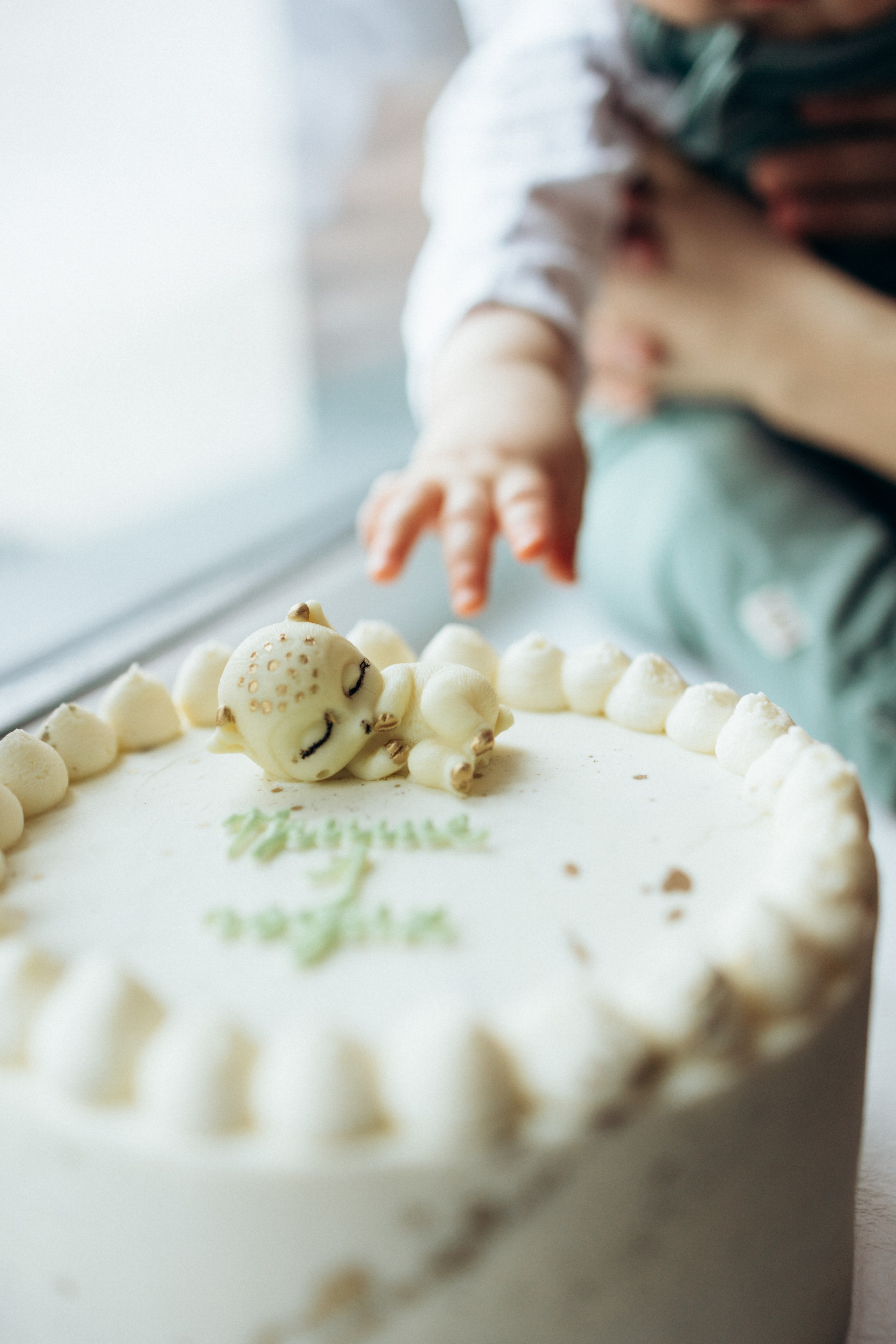 1 годик. Фотограф Валерия Ковпак. Москва. Химки. Куркино