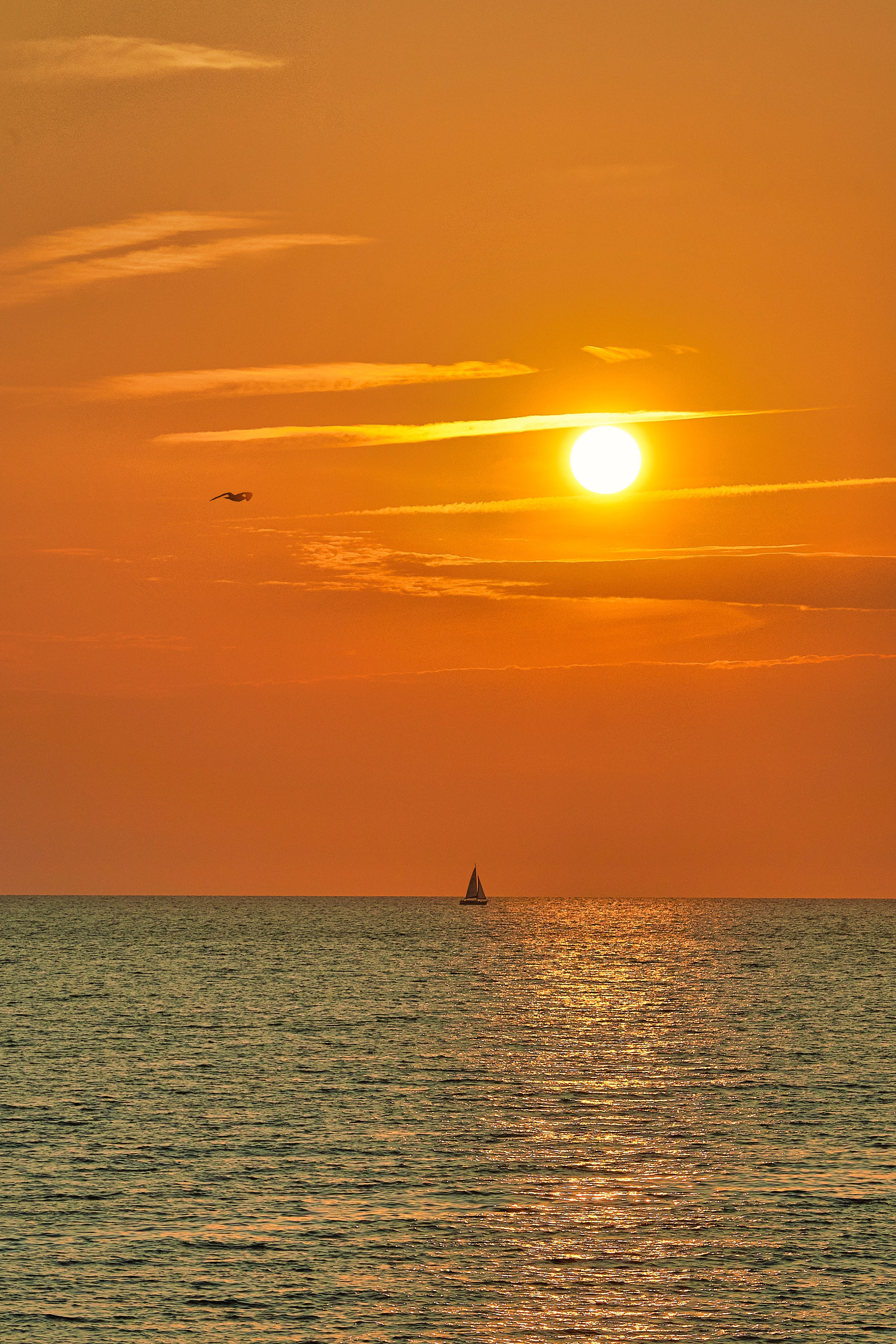 Наша мать — природа. Фотограф Владимир Артамонов