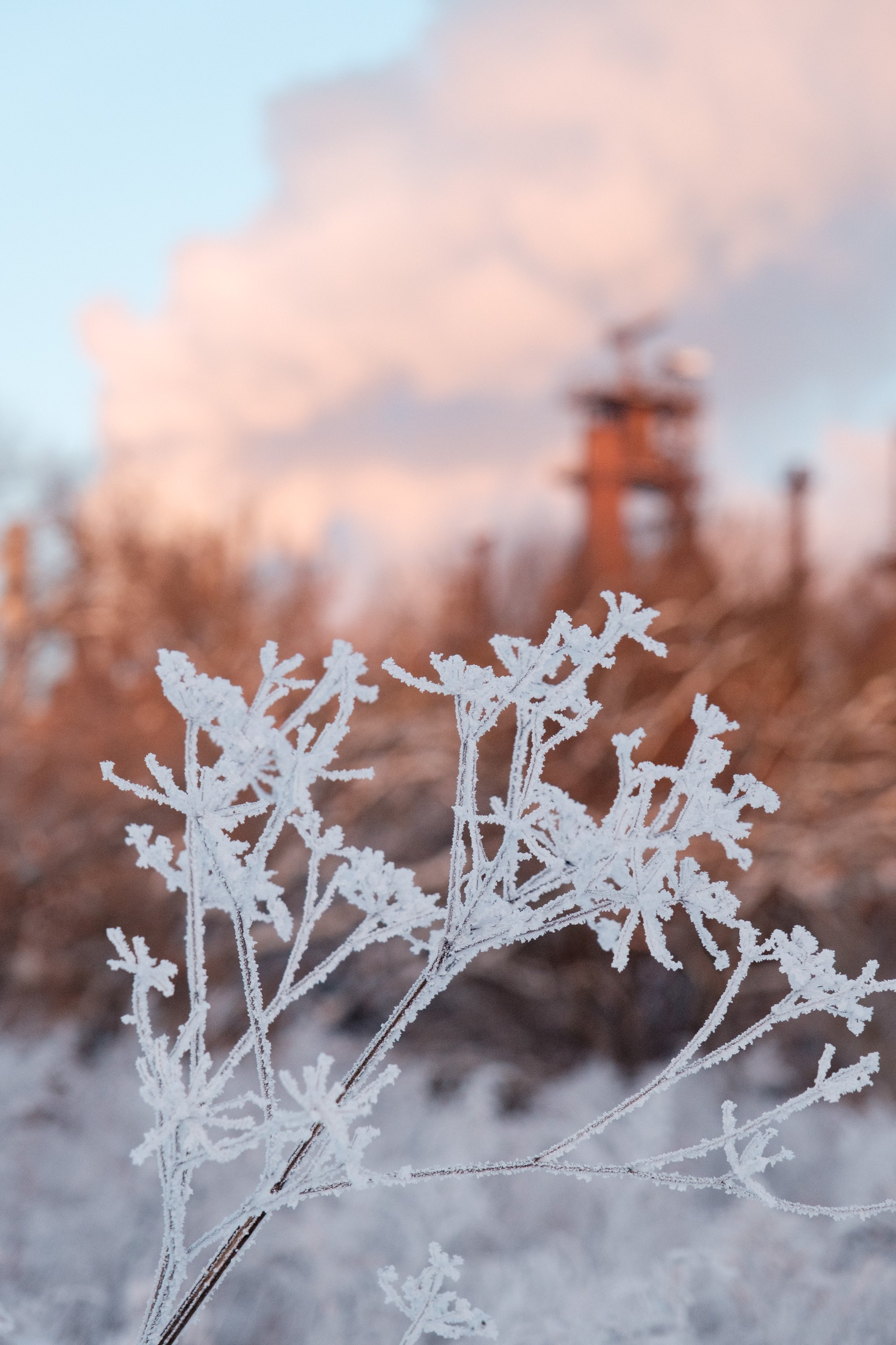 Озеро Горячка. Фотограф и видеооператор в Туле | Даниил Рыбак