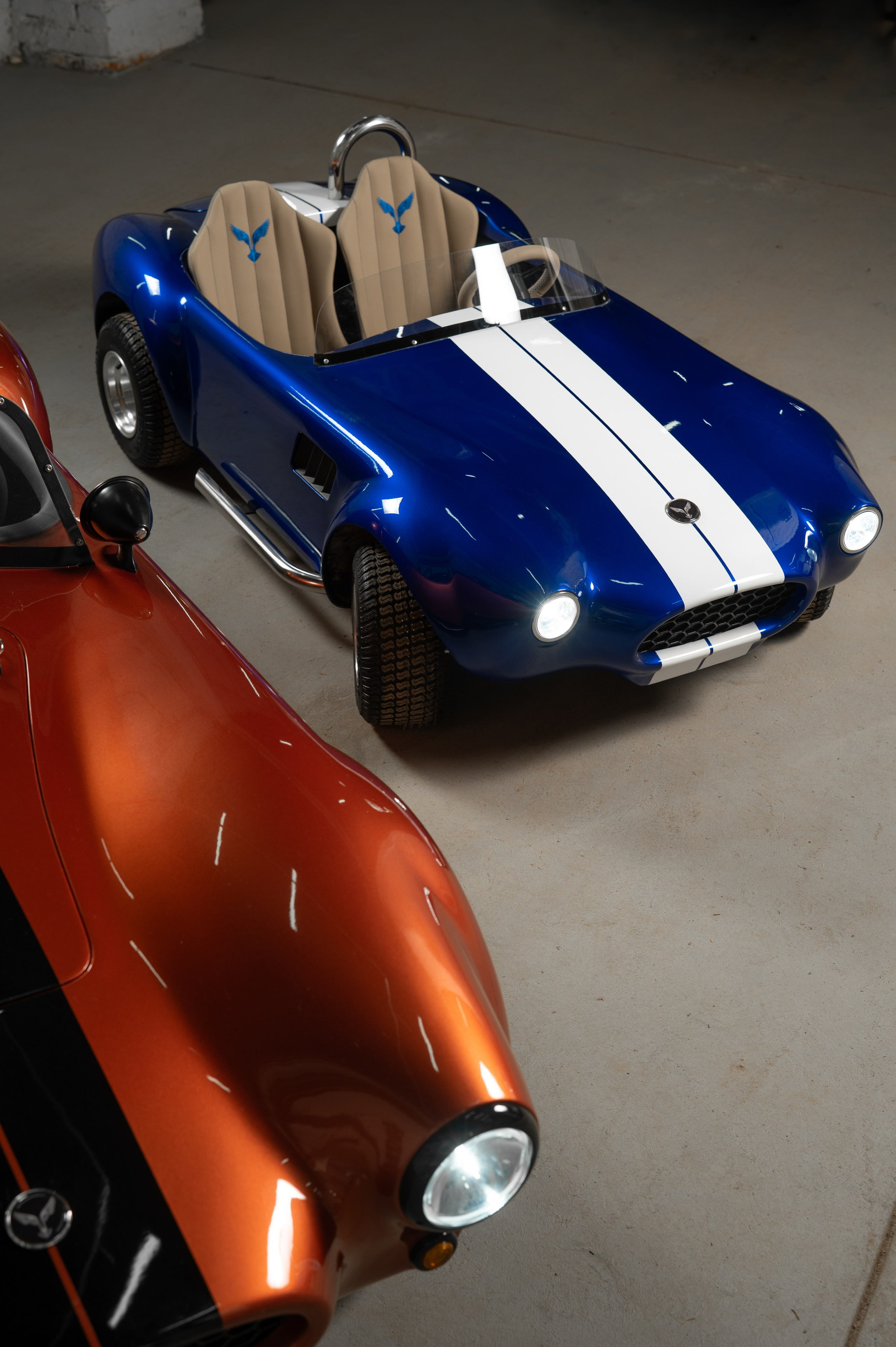 Cobra Mini. Фотограф и видеооператор в Туле | Даниил Рыбак