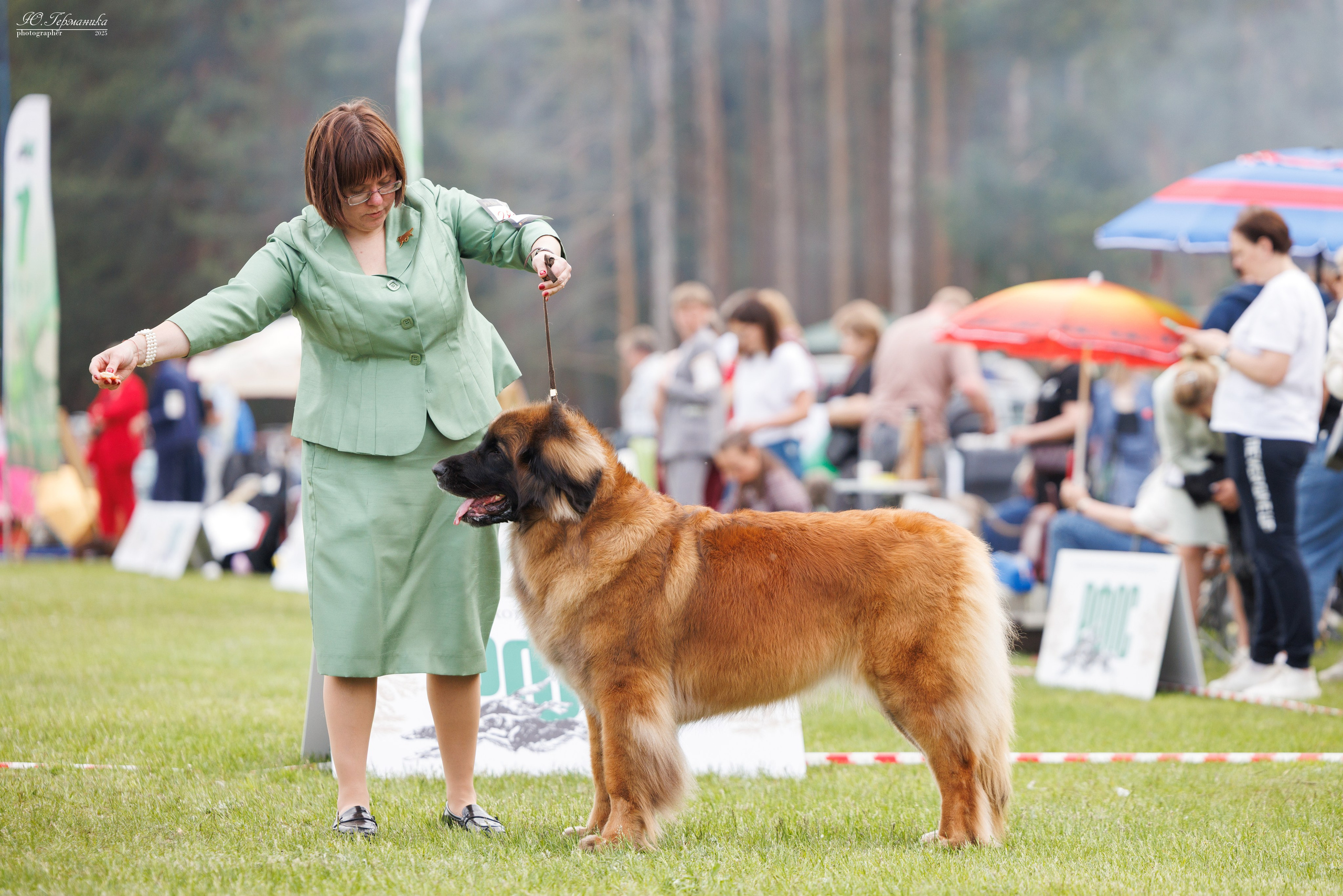 Суздаль(Владимир)17-18.05.2025. Фотограф-анималист Юлия Германика
