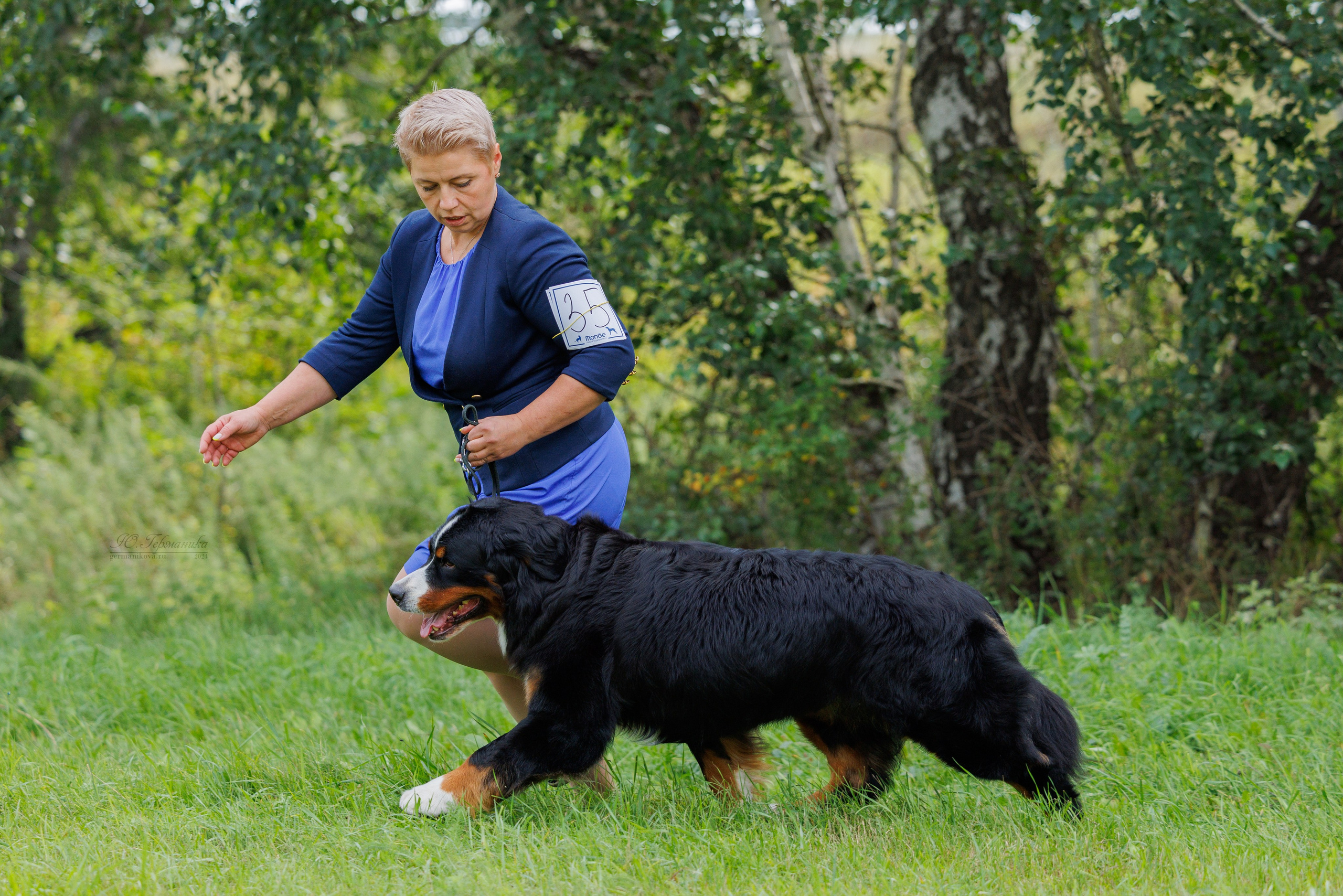 Астана 2хCACIB 17-18.08.2024. Фотограф-анималист Юлия Германика