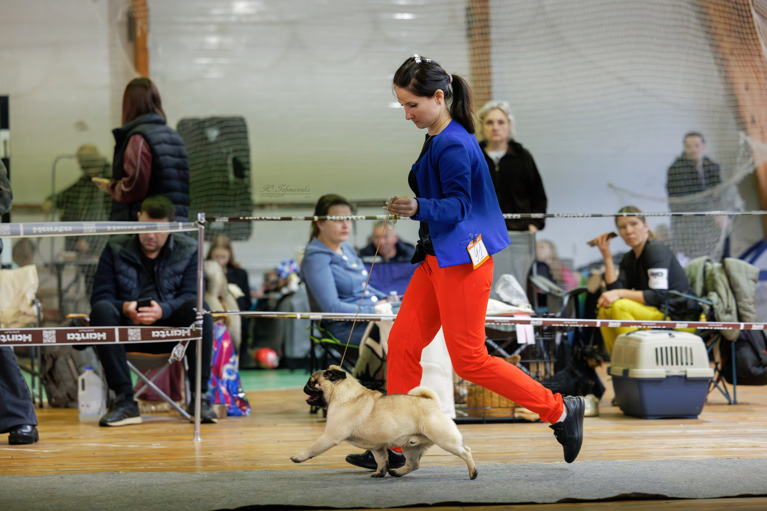 Тверь 21.12.2025. Фотограф-анималист Юлия Германика