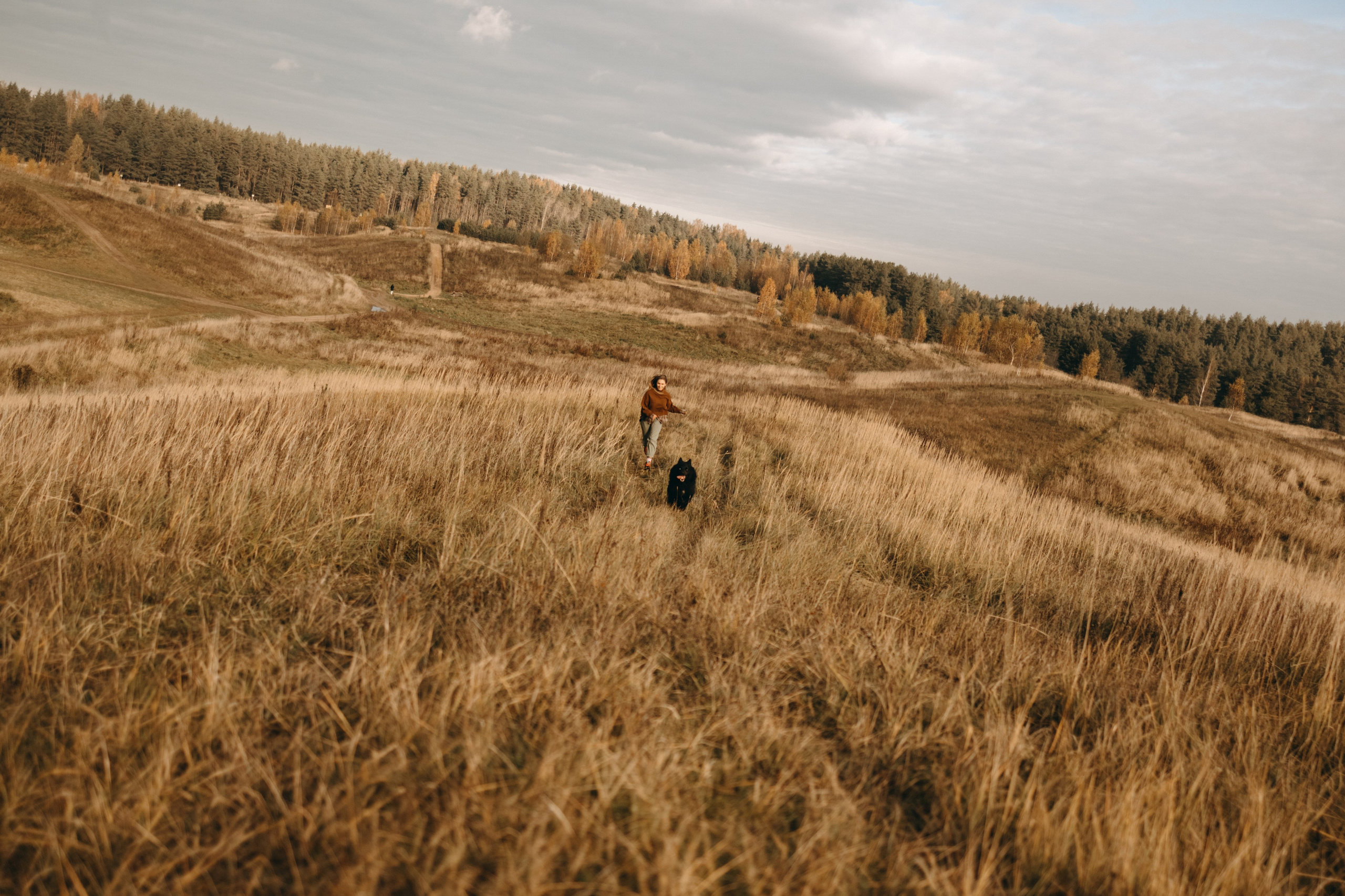 Лора и Джанго. Фотограф — Анималист | Санкт-Петербург