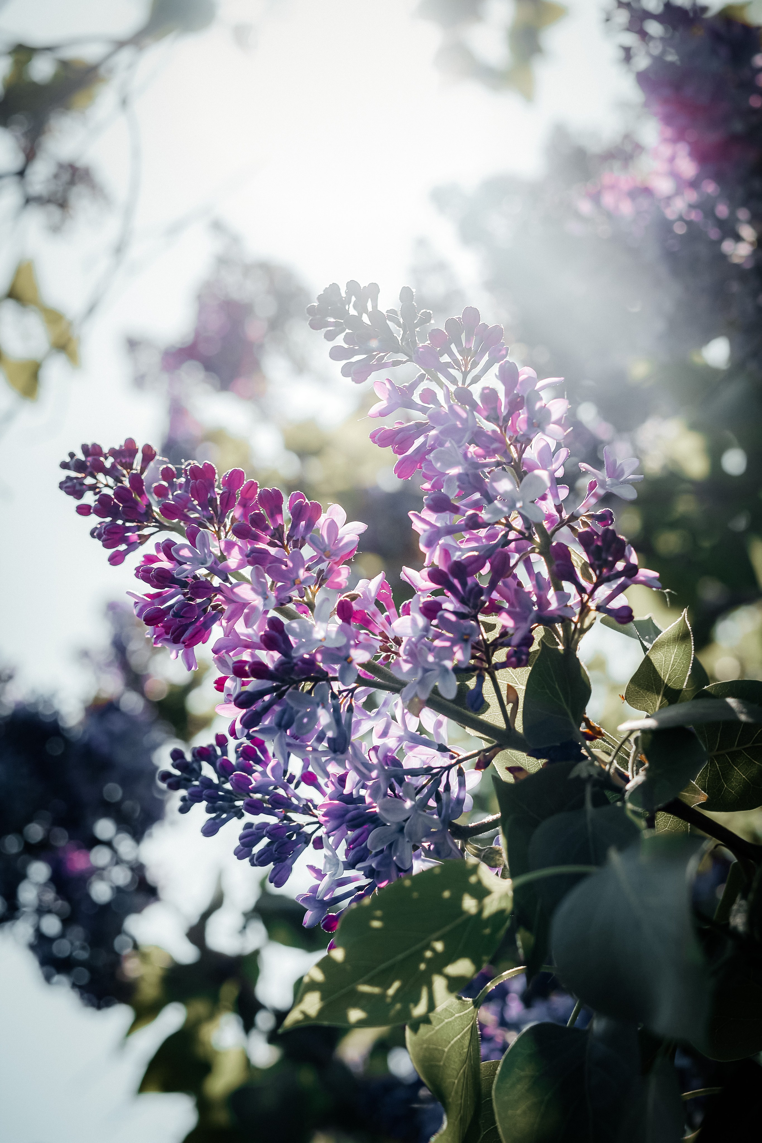 Nature. Оля Валиахметова — портретный и репортажный фотограф из Екатеринбурга