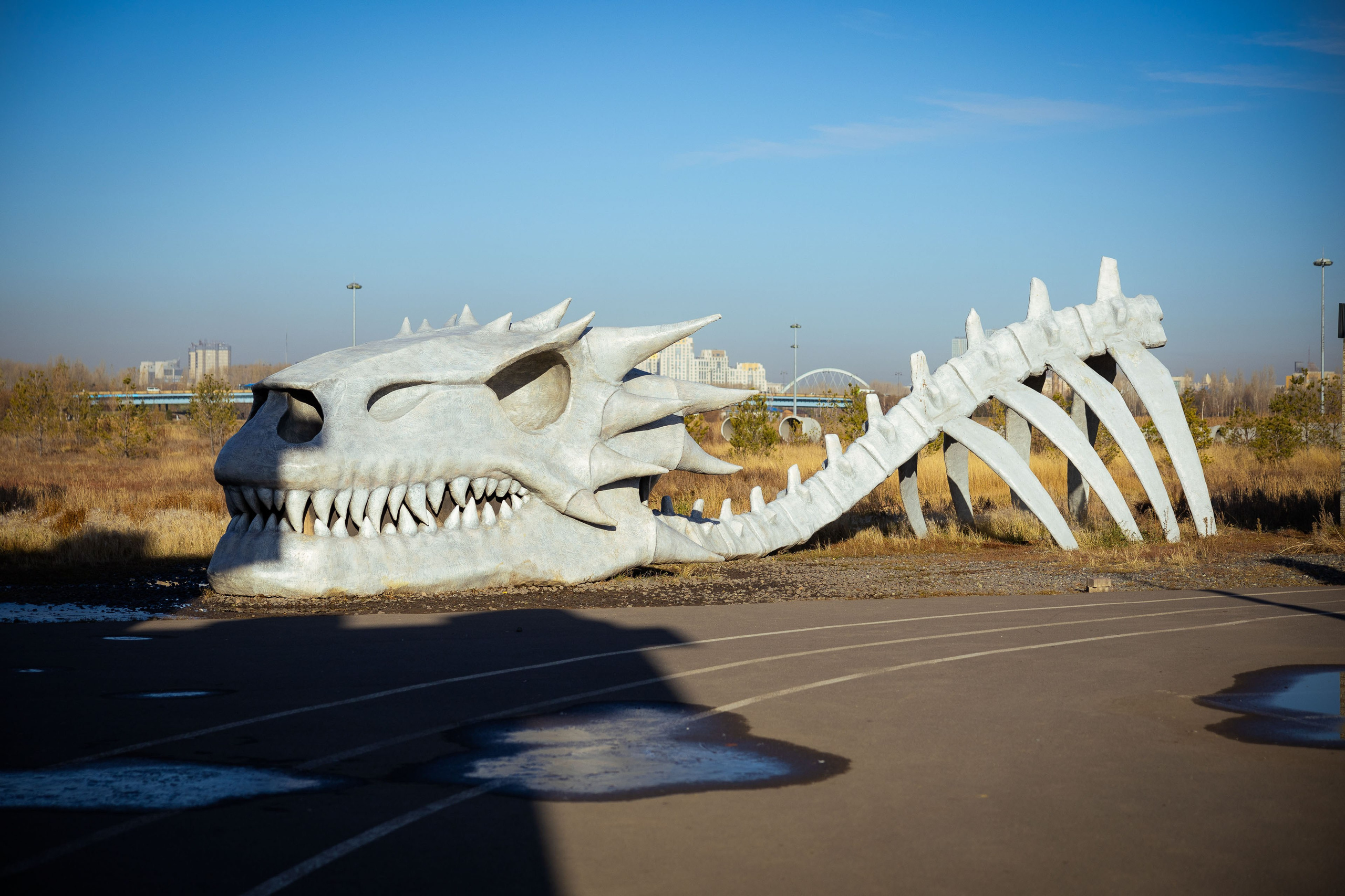 Казахстан (осень 2024). Фотограф Виноградов Константин