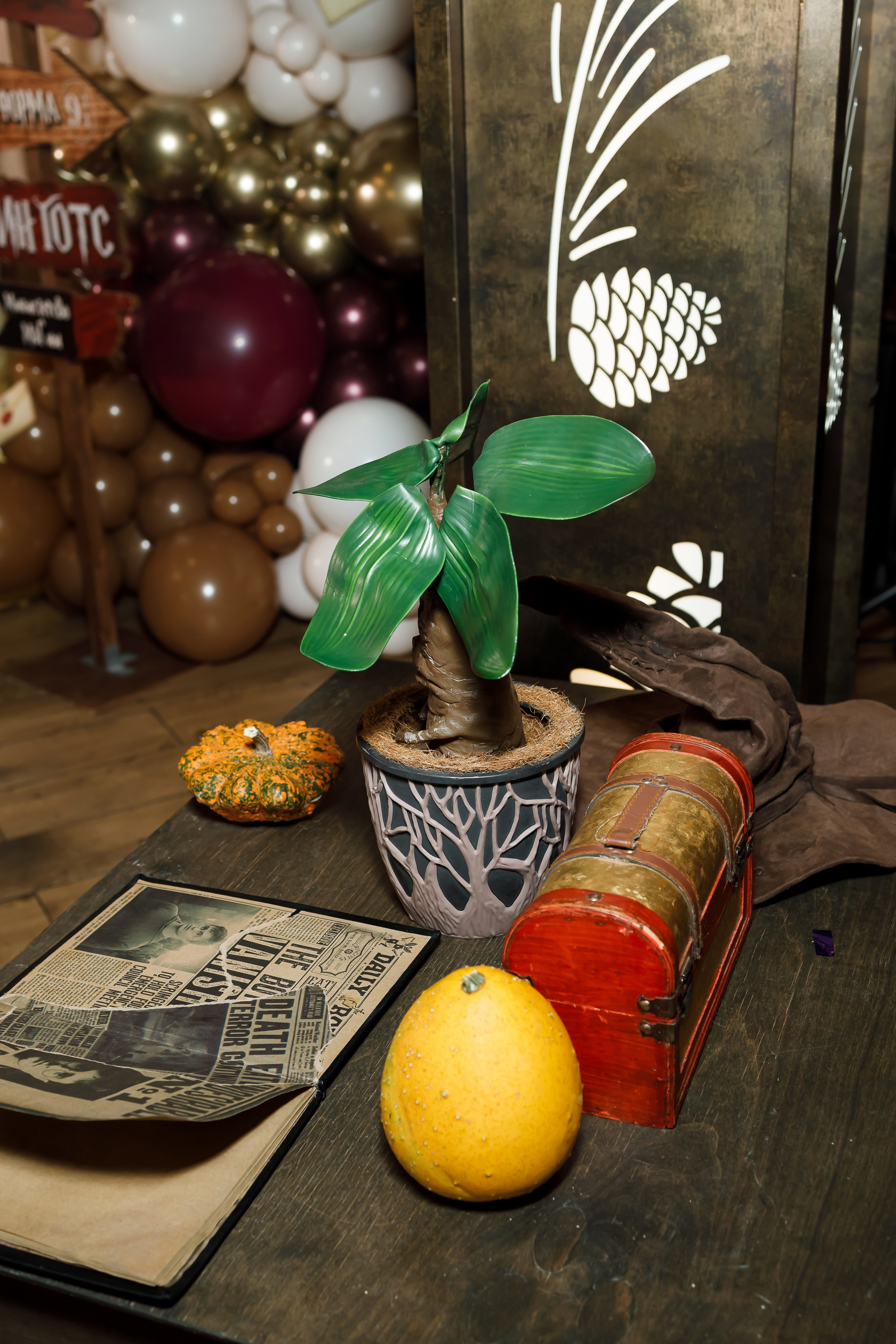 САША 8 лет. Катерина Киреева — фотограф в Москве