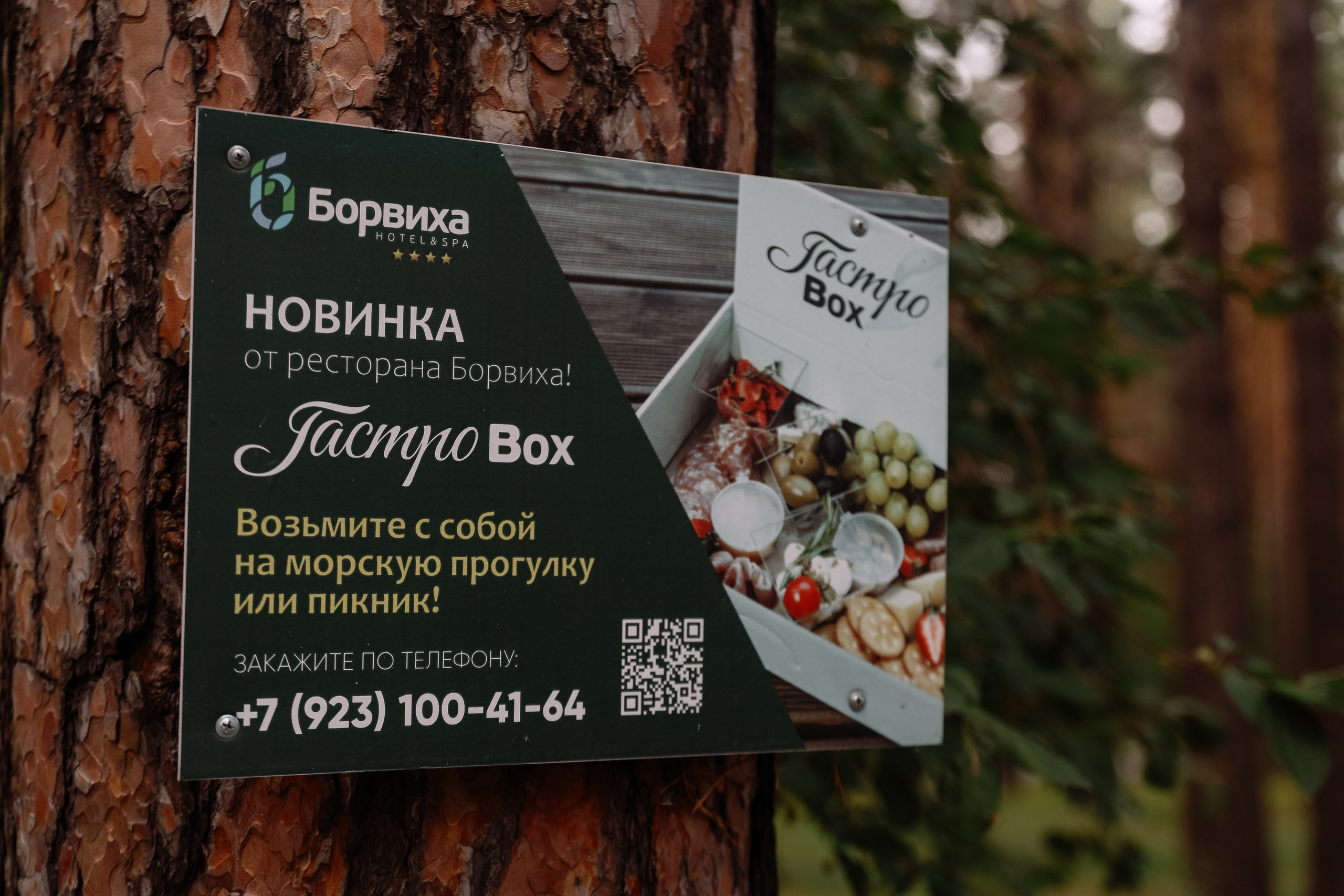 Корпоратив Комплект-Айс в Борвихе. Фотограф Юлия Мальцева