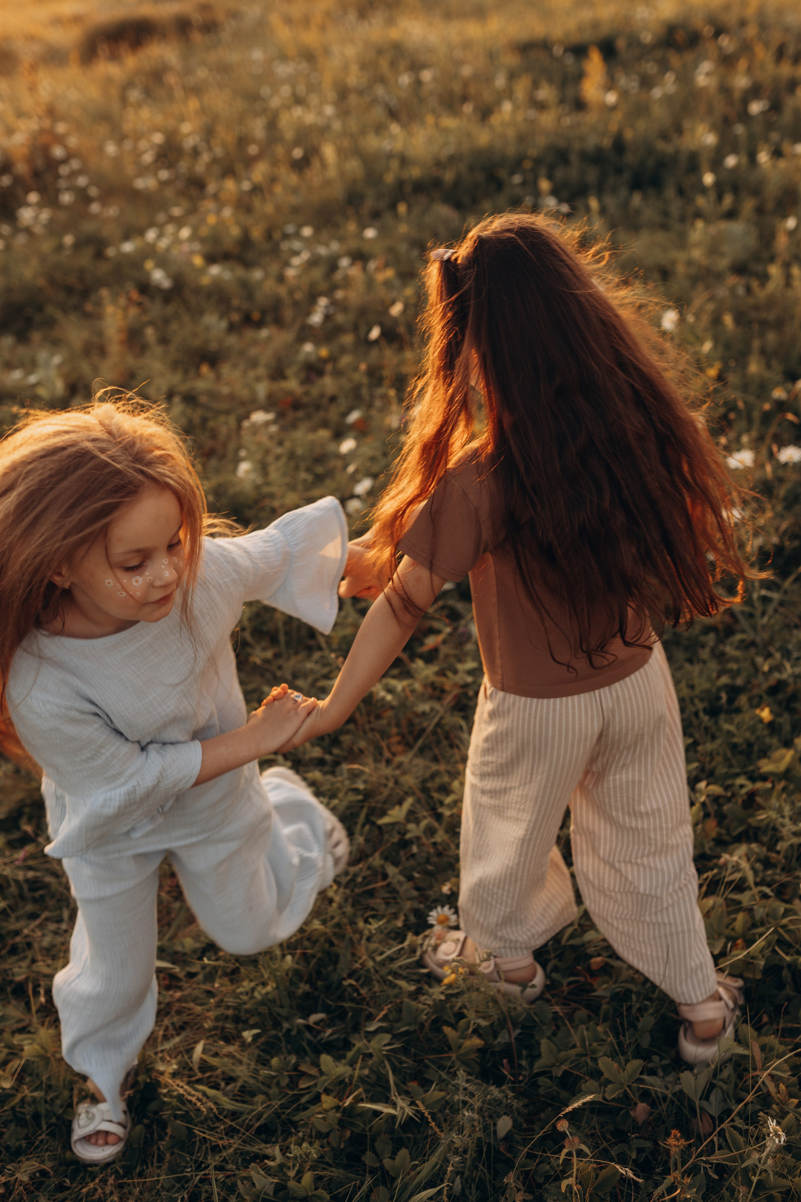 Закат на ромашковом поле. Фотограф в Ставрополе Svetlana Matveeva