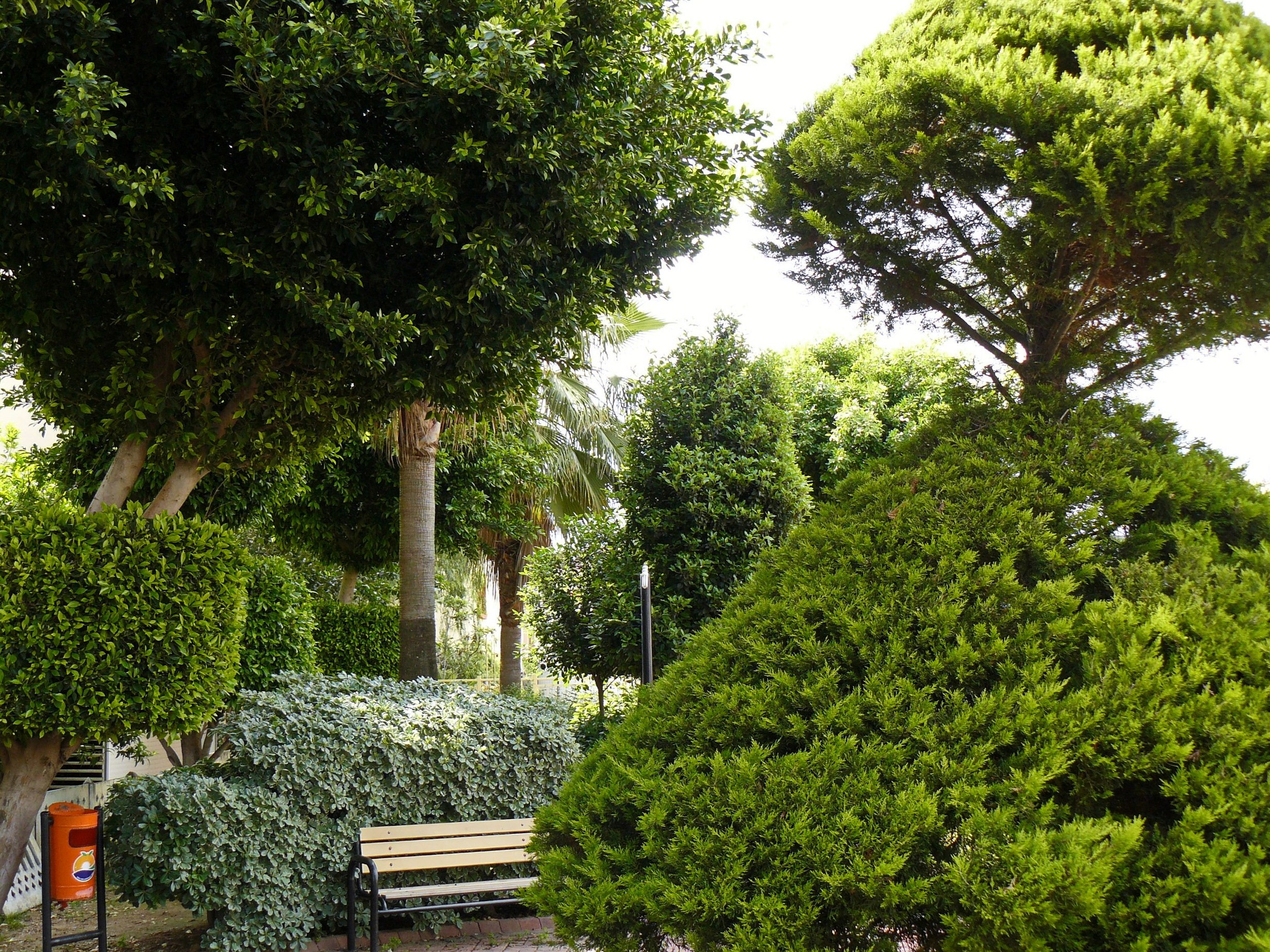 Алания 2014. Фотопрогулки по Миру