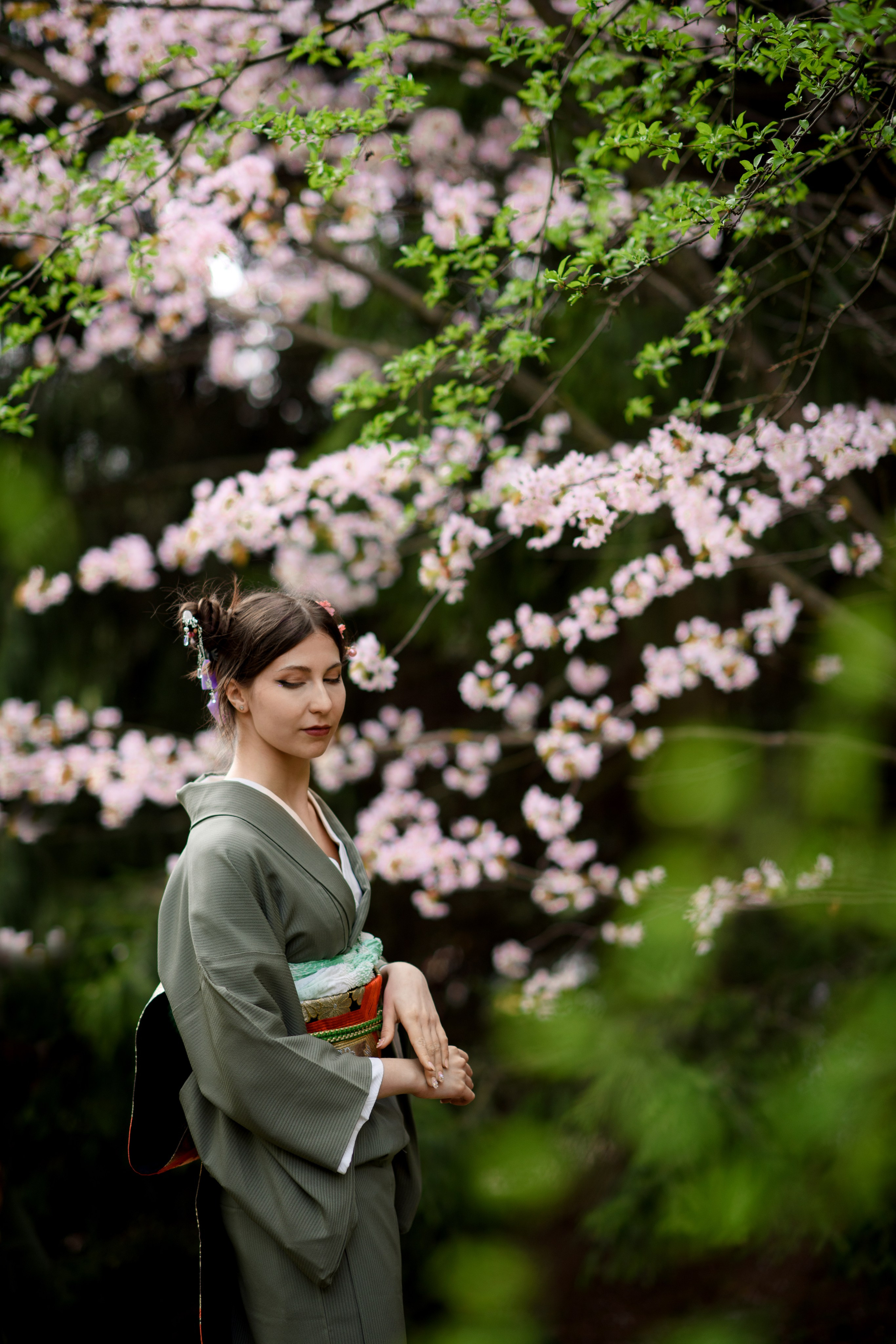 Любование цветением сакуры в Японском саду. Главная