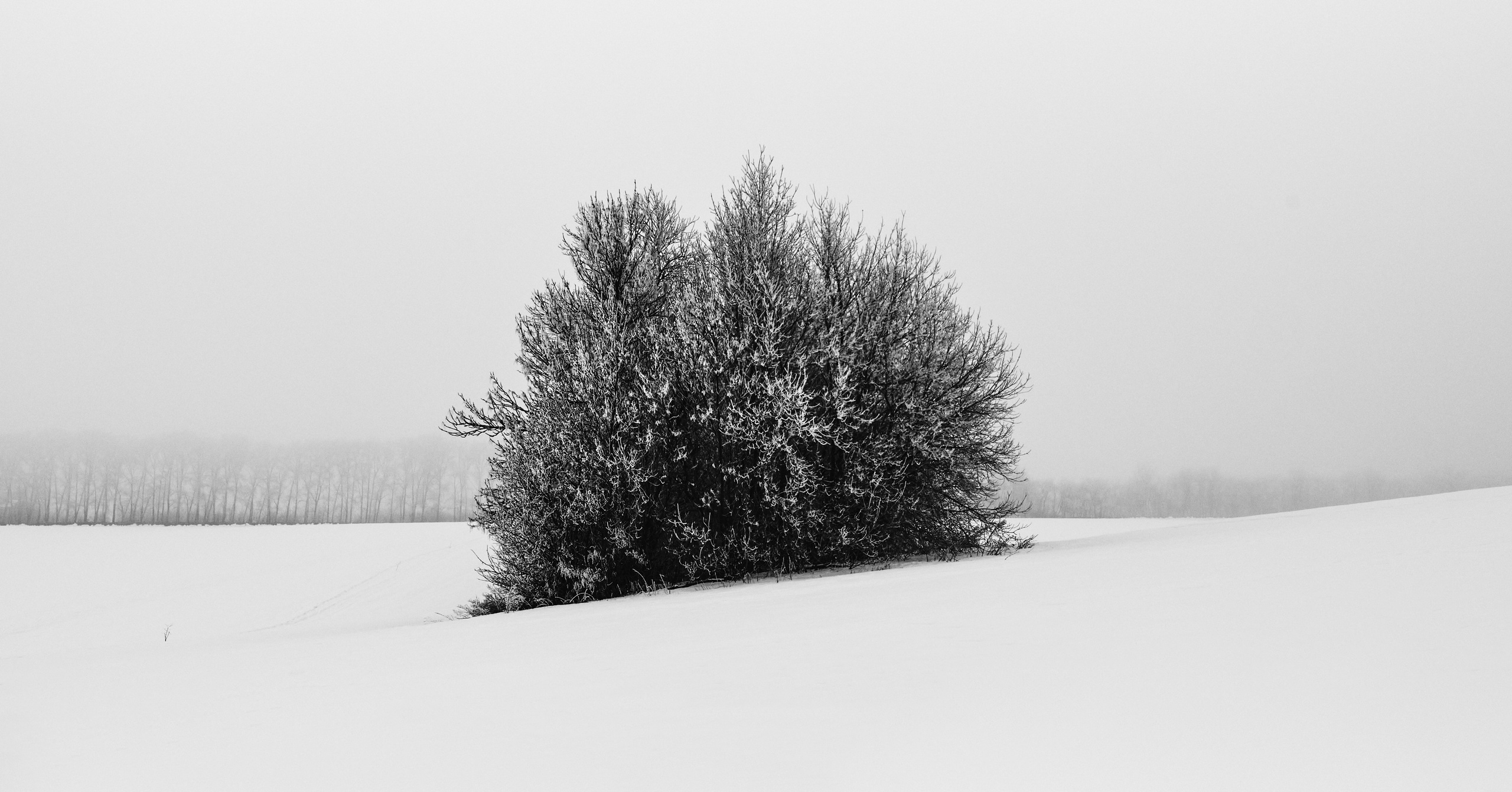 Фотограф-любитель из Кирова Андрей Погребняк