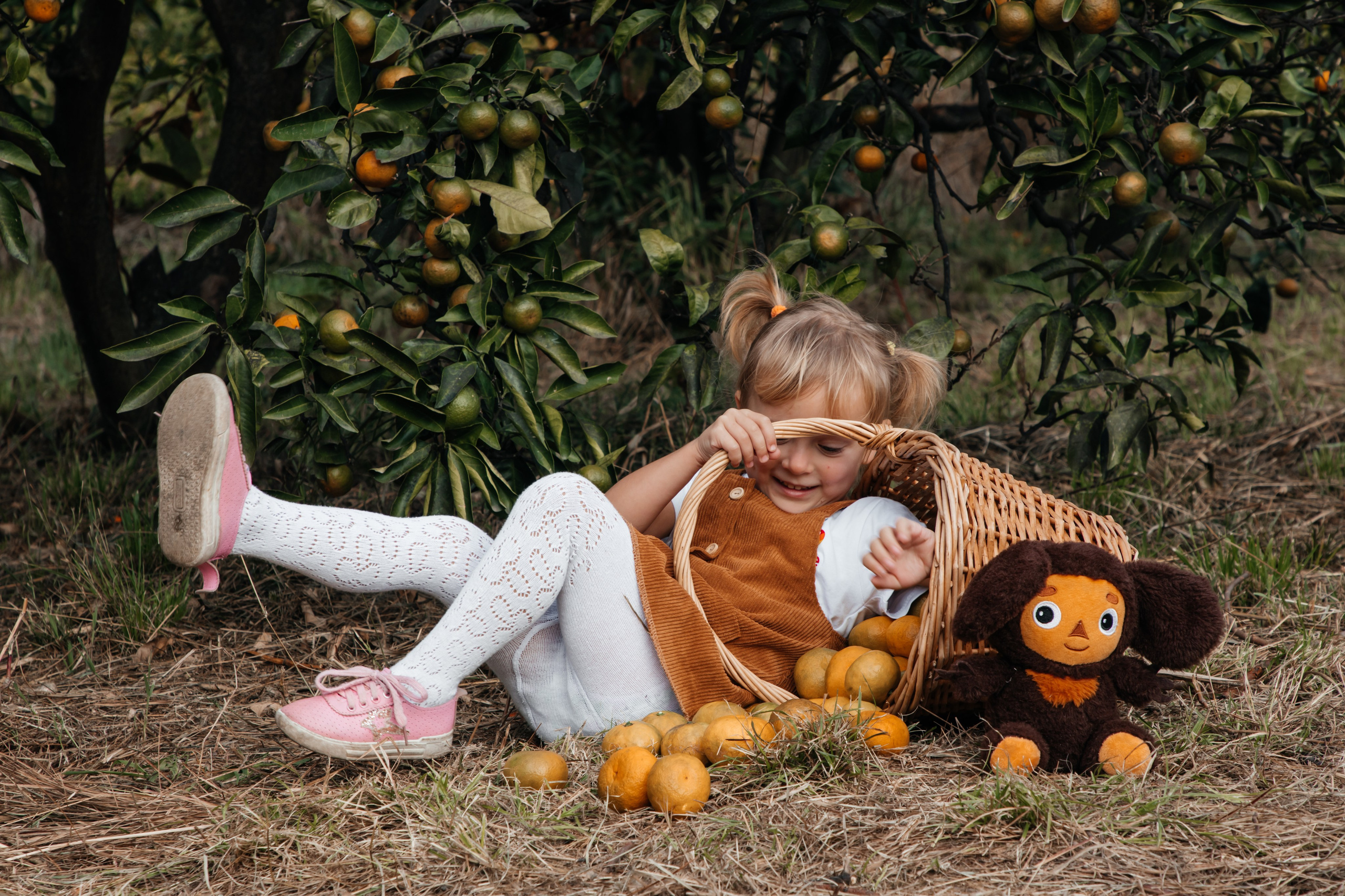 Мандариновое настроение. Фотограф Сочи, Екатеринбург, Евгения Ефимова