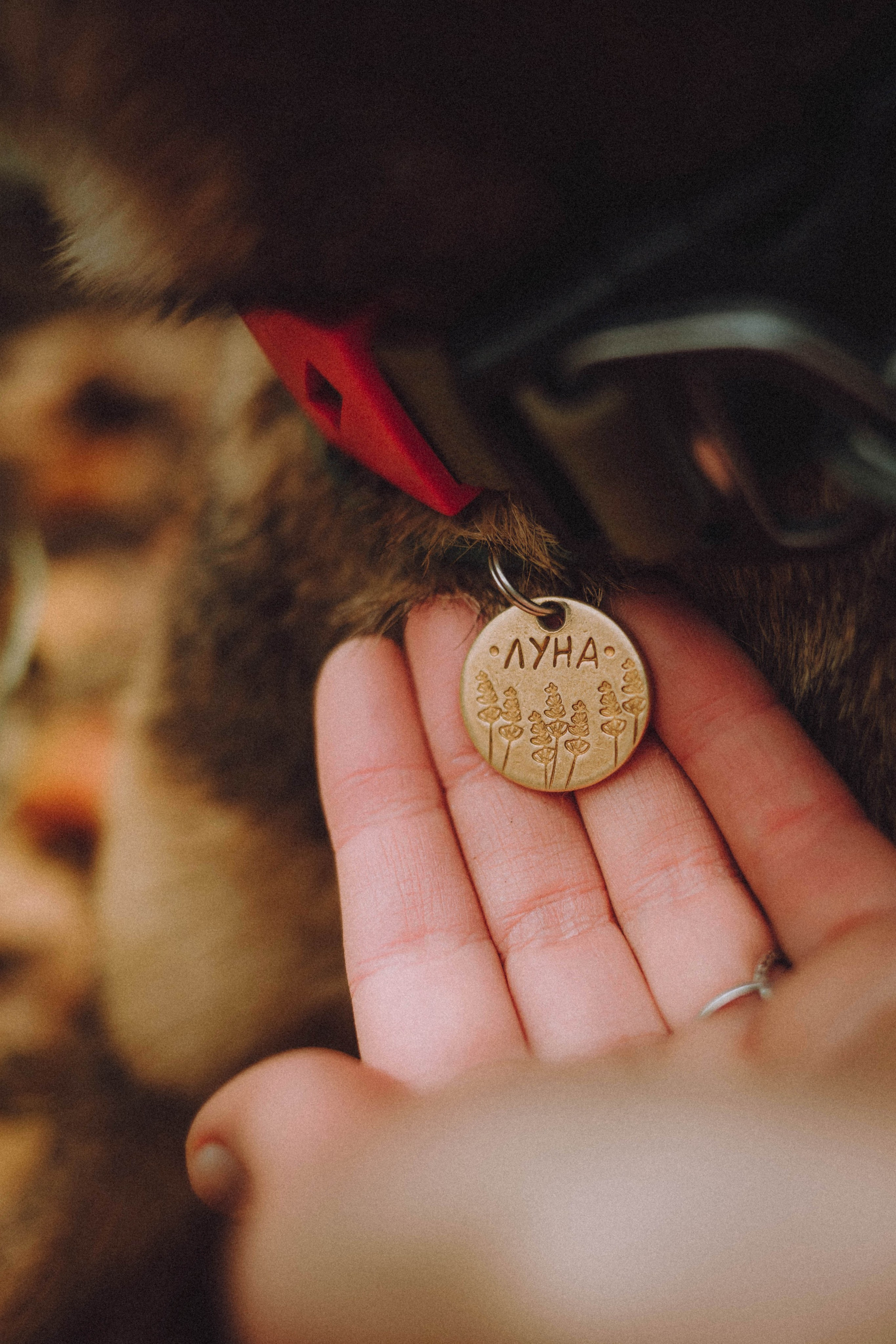 Аня, Нео и Луна