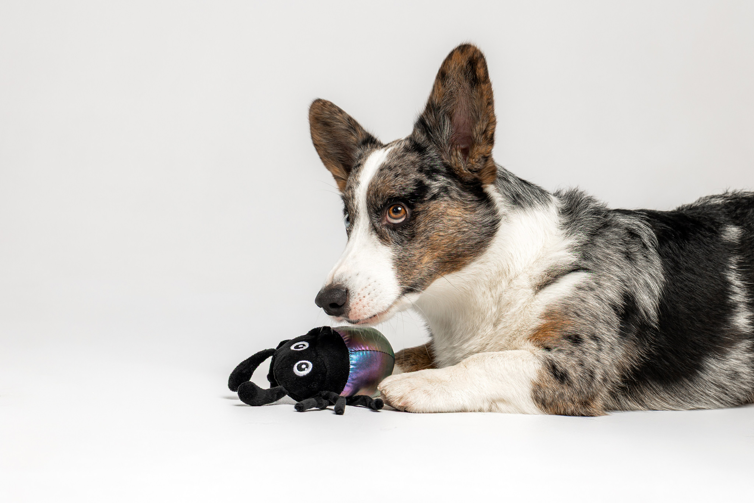 Анатолий и Рагнар