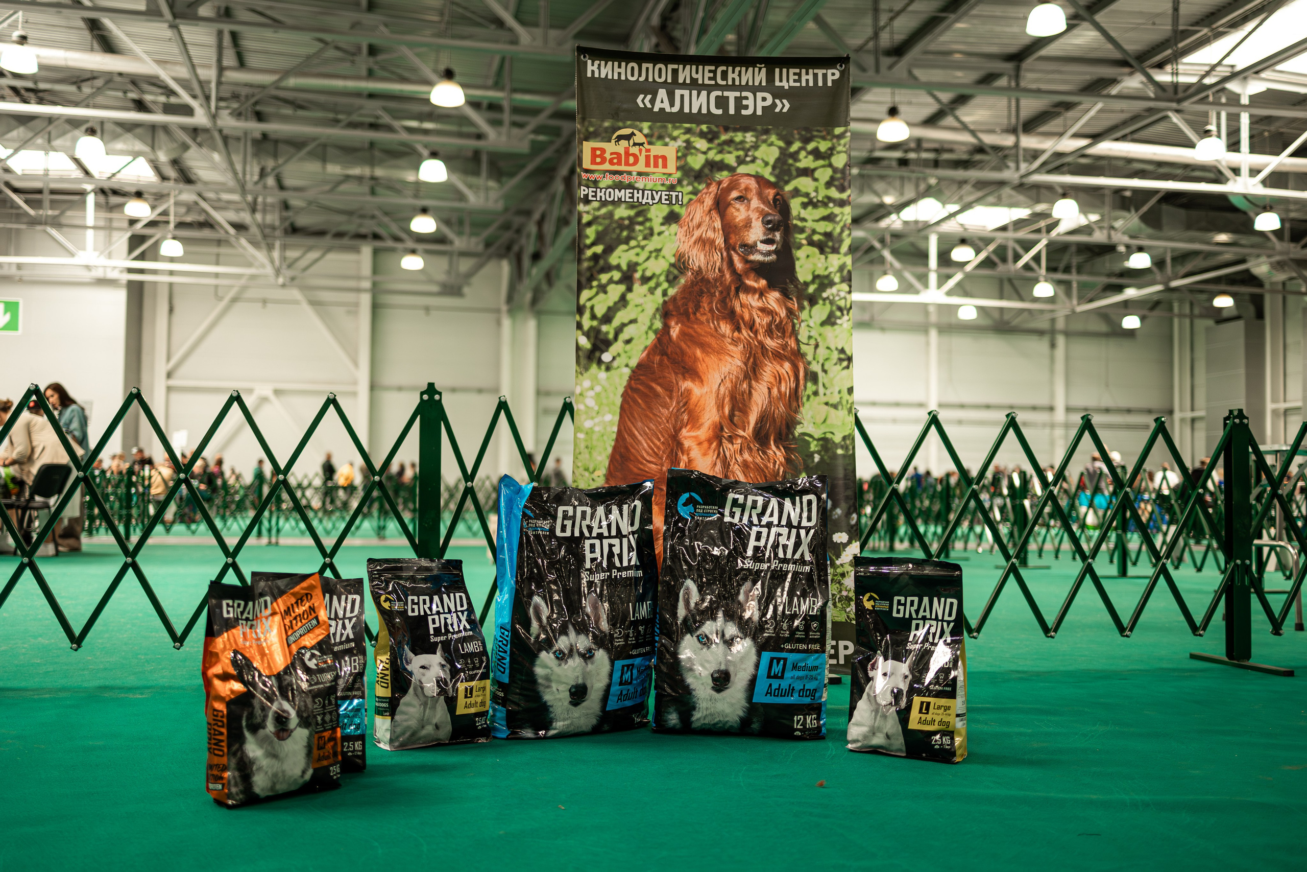 Выставка сеттеров 19.05.24