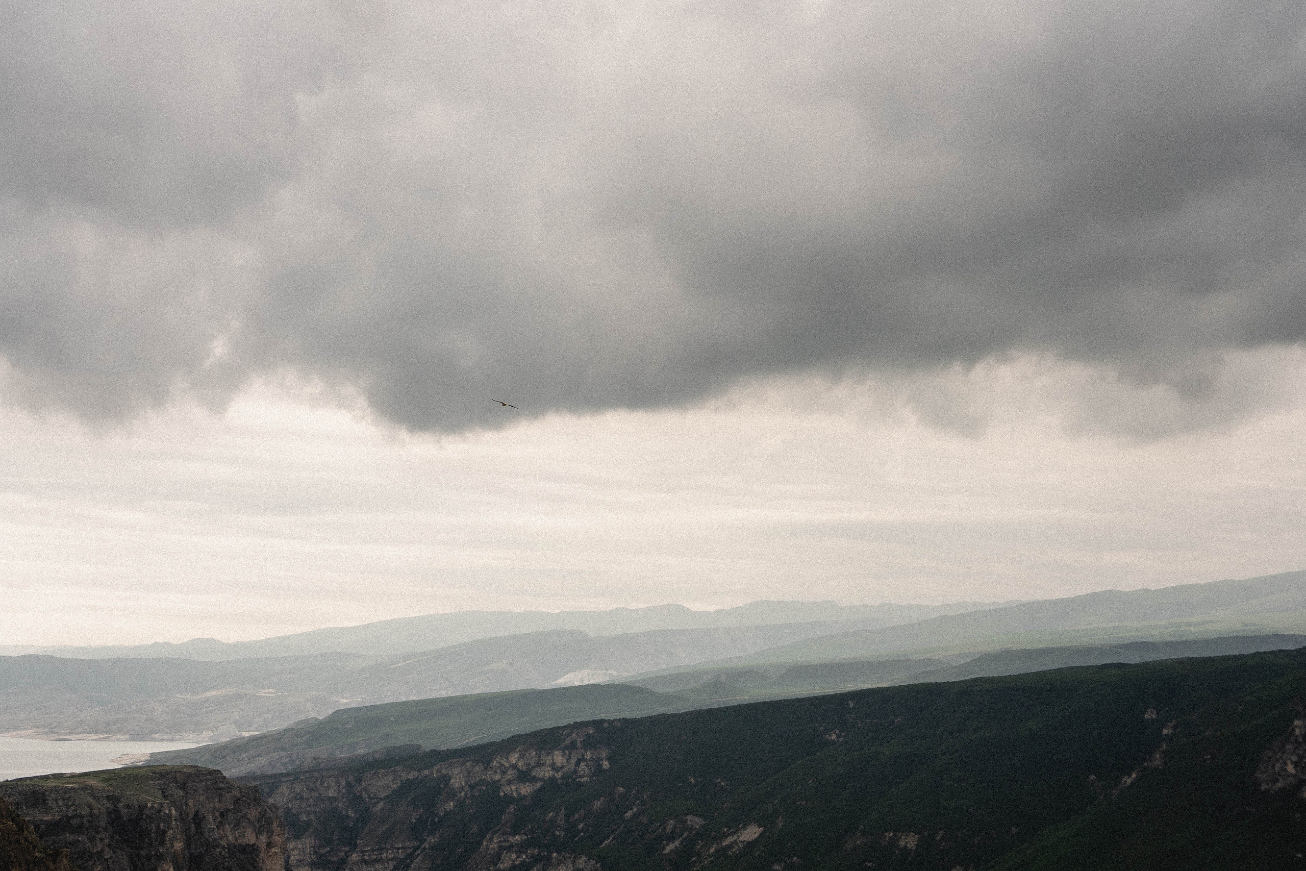 Кавказ. Профессиональный фотограф, Санкт-Петербург — Виктория Богомолова