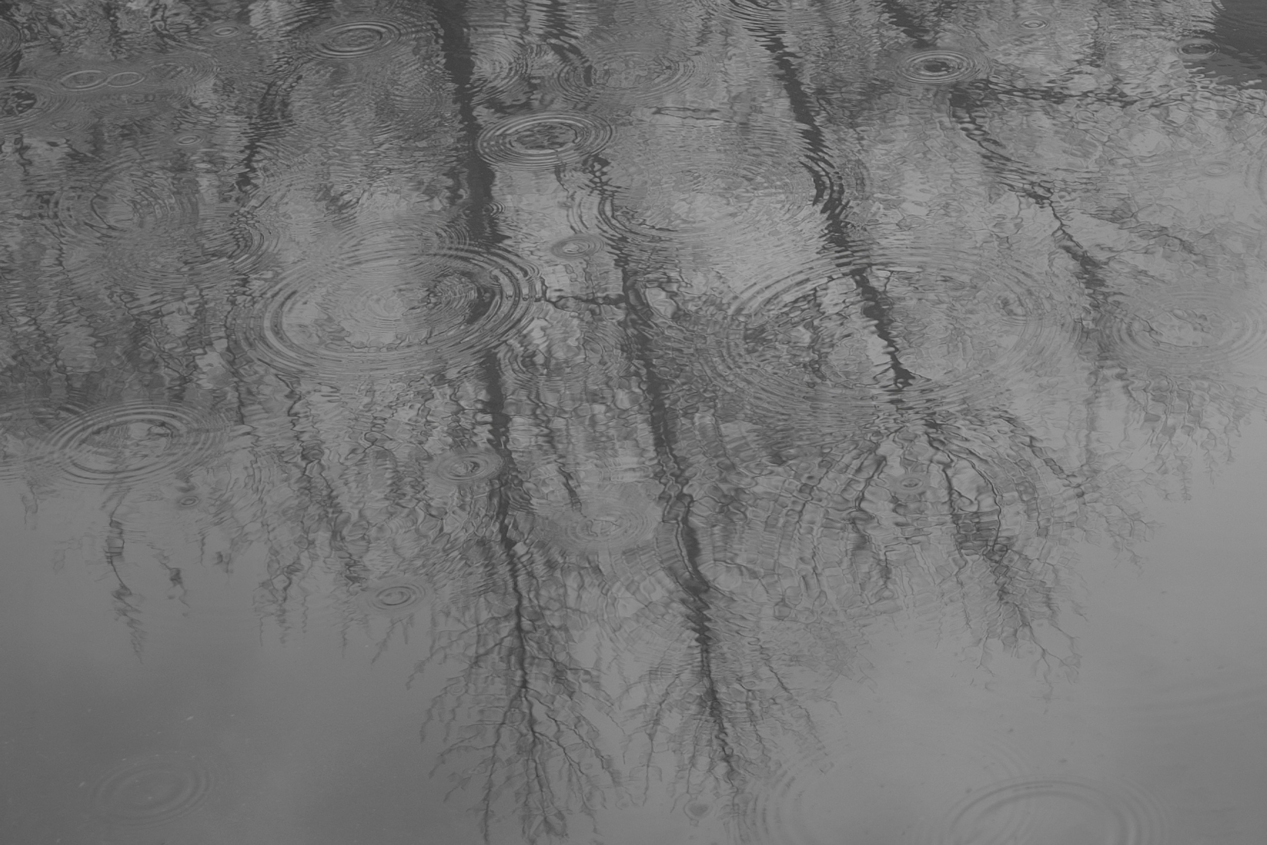 ART. Фотограф Злата Спицына