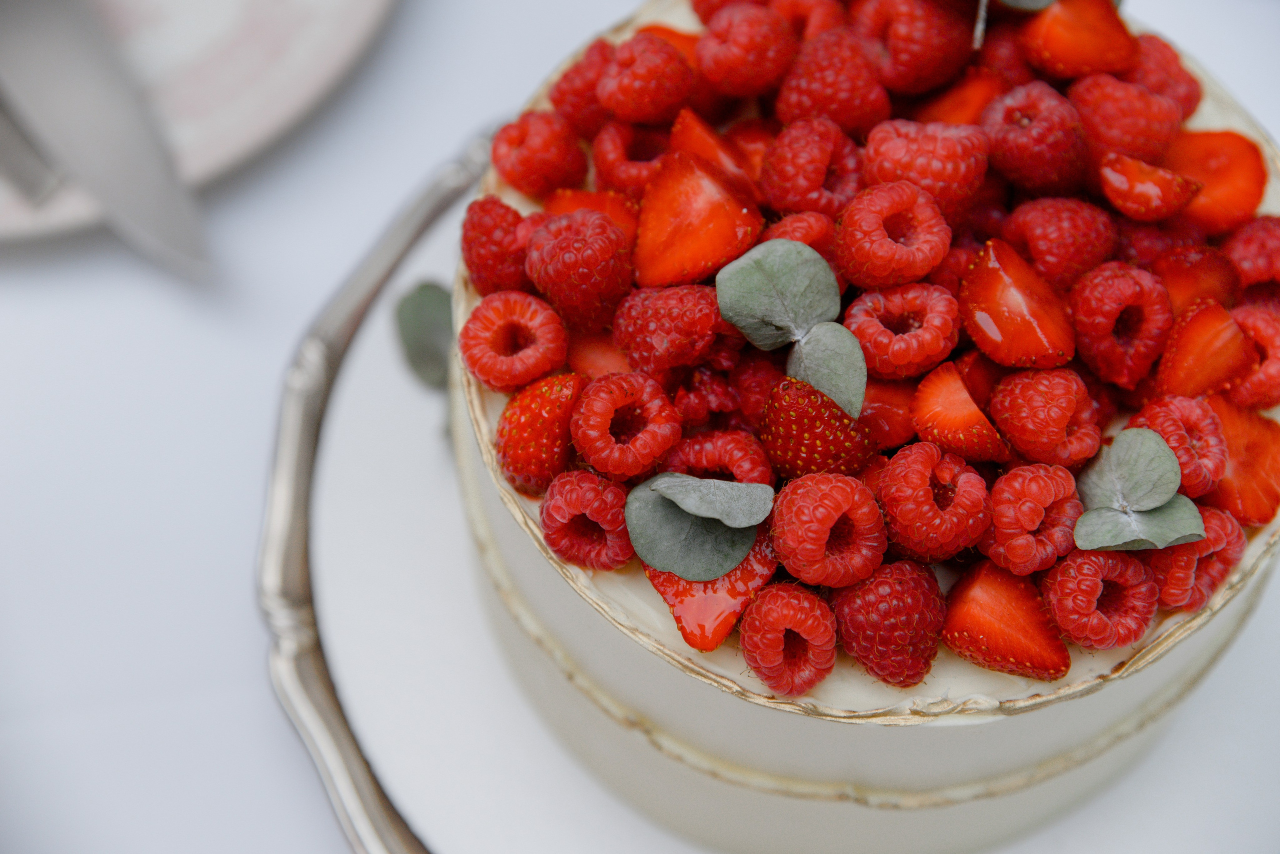 Летняя история из Санкт-Петербурга. Фотограф Алина Синицина