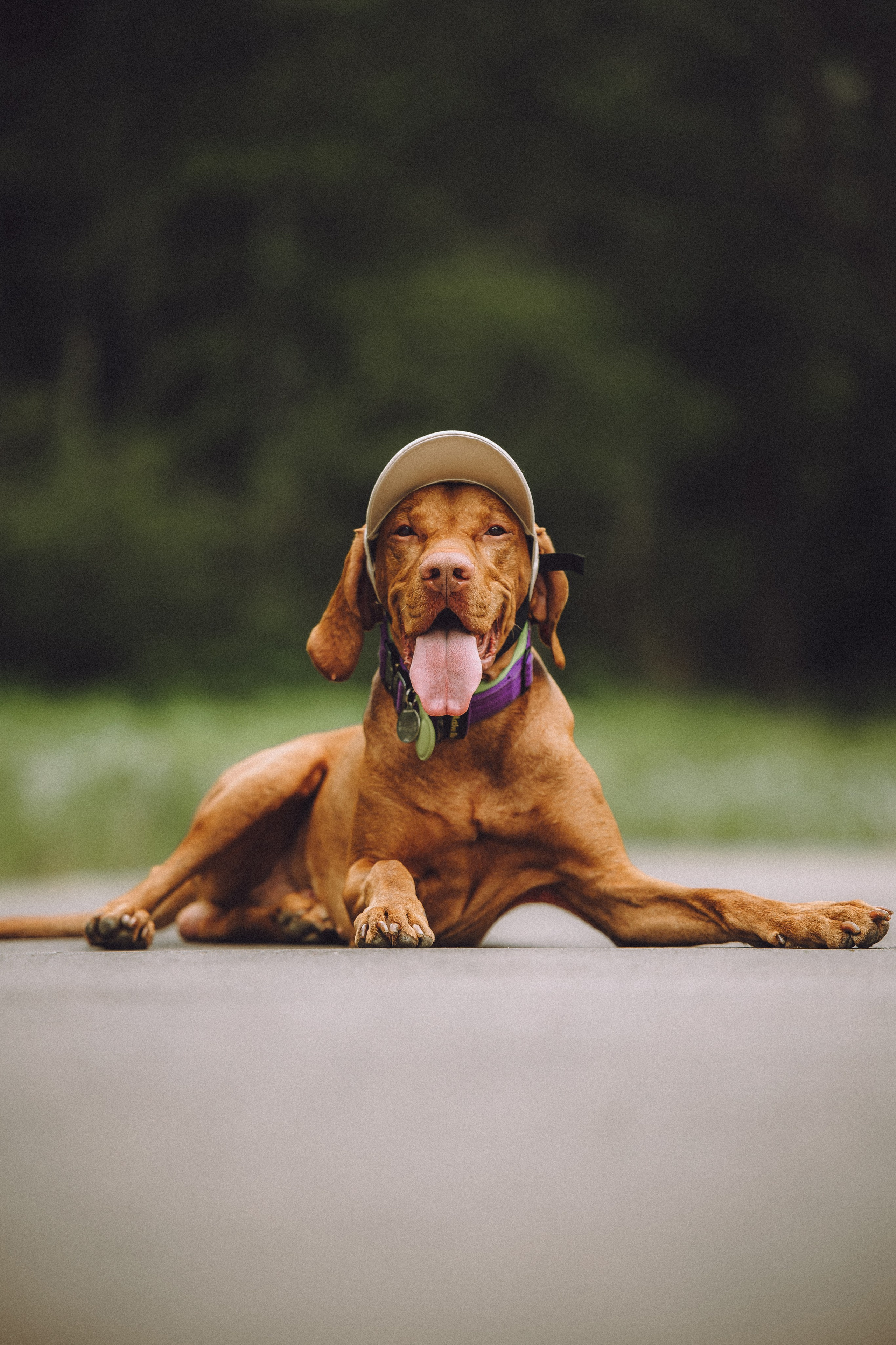 Груша, Данни, Фунтик и их семья