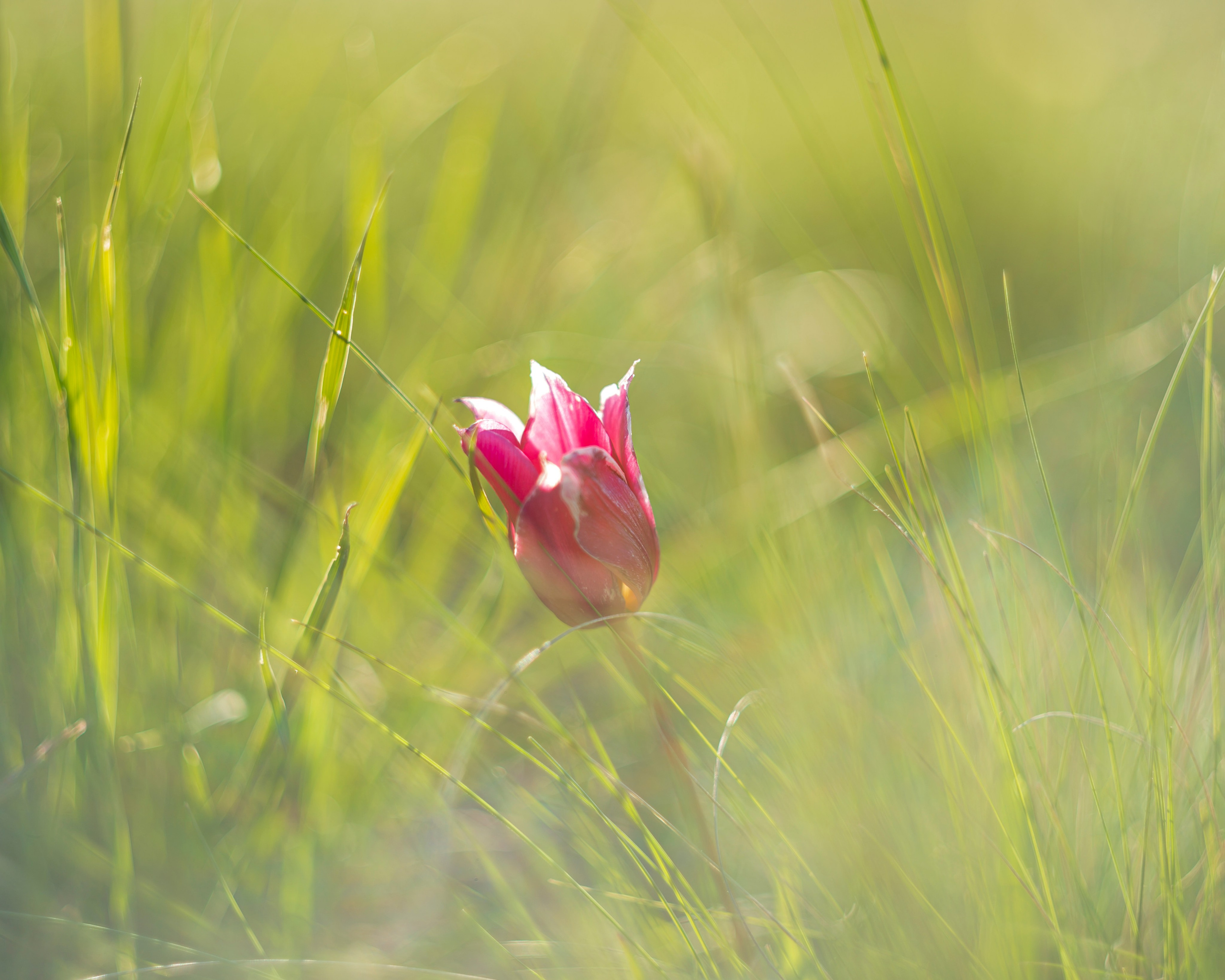 Оренбуржье. Портретный фотограф в Челябинске Катерина Руди