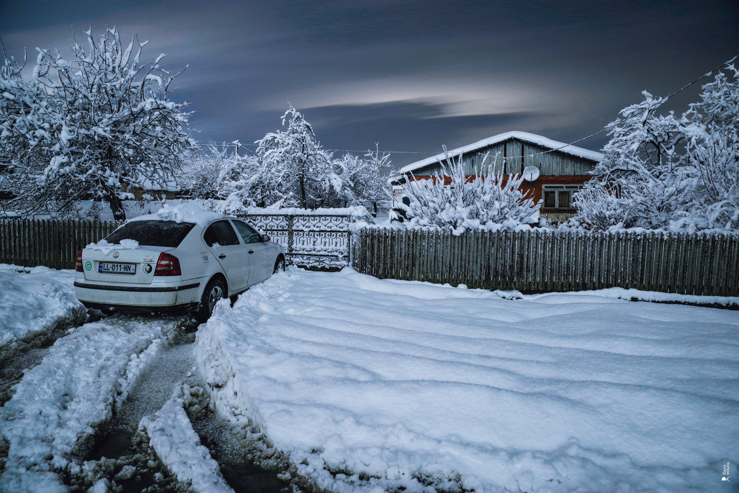 Спящий Менджи зимой. Портретный фотограф Денис Милютин