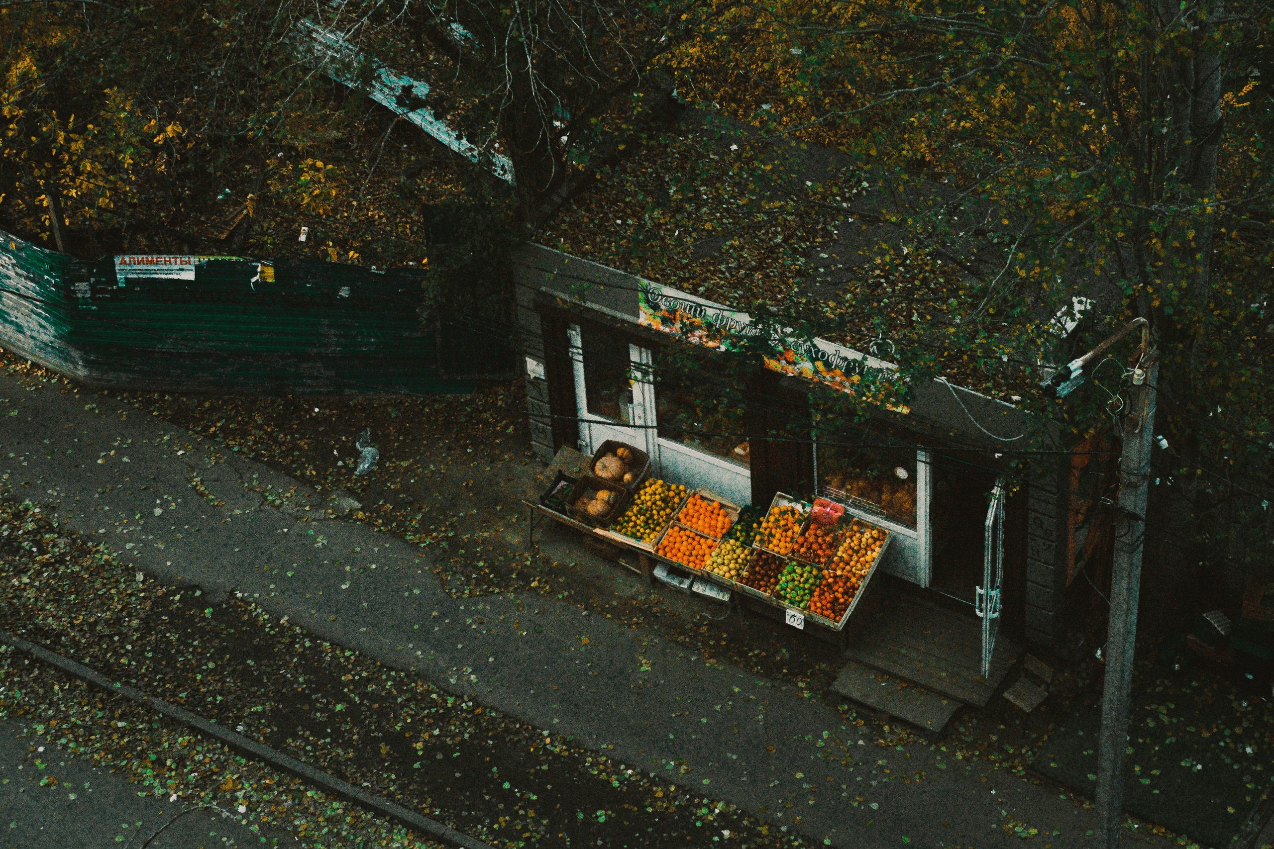 Цветные фотографии. Фотограф в Ростове-на-Дону