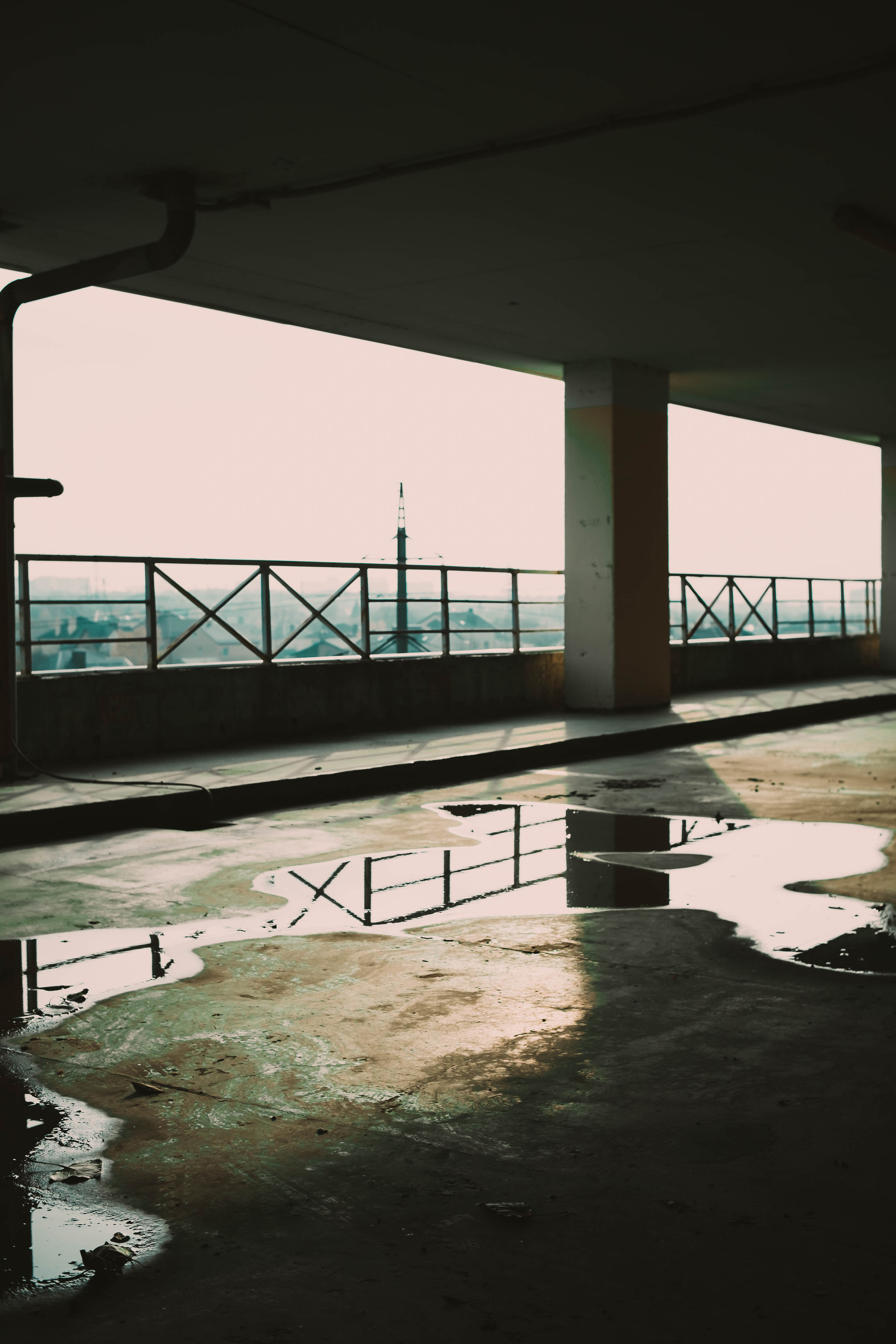 Цветные фотографии. Фотограф в Ростове-на-Дону