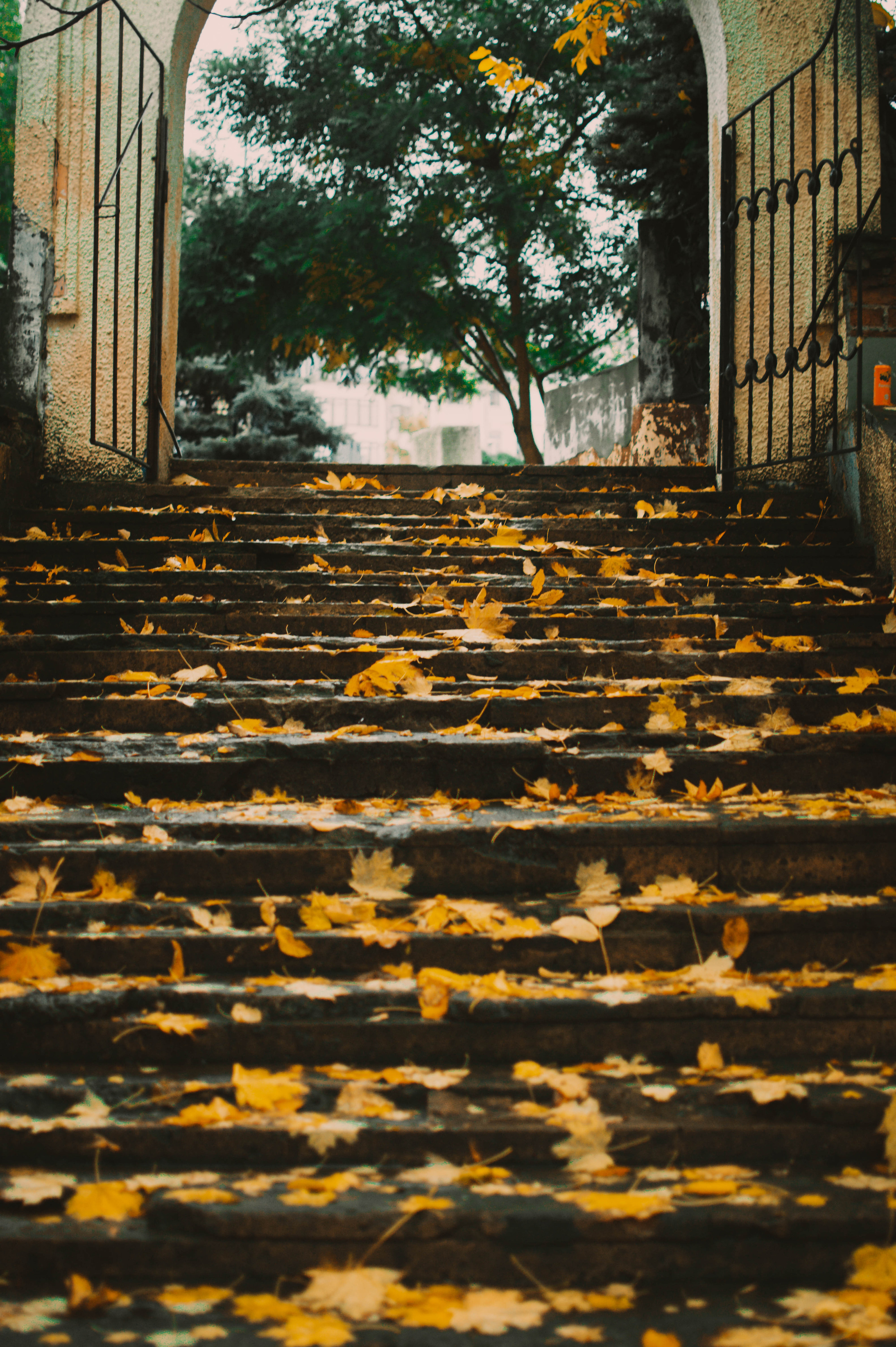 Цветные фотографии. Фотограф в Ростове-на-Дону