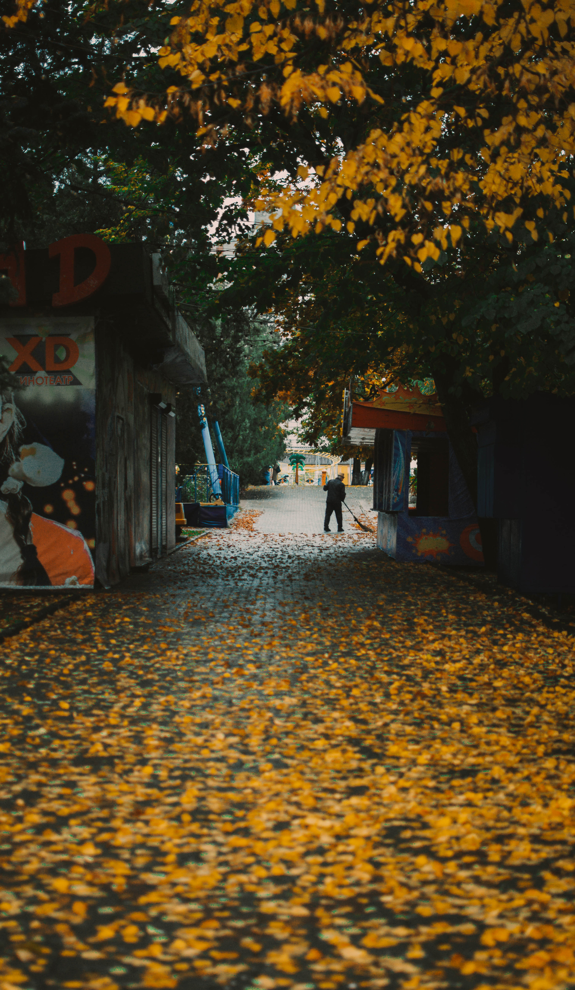 Цветные фотографии. Фотограф в Ростове-на-Дону