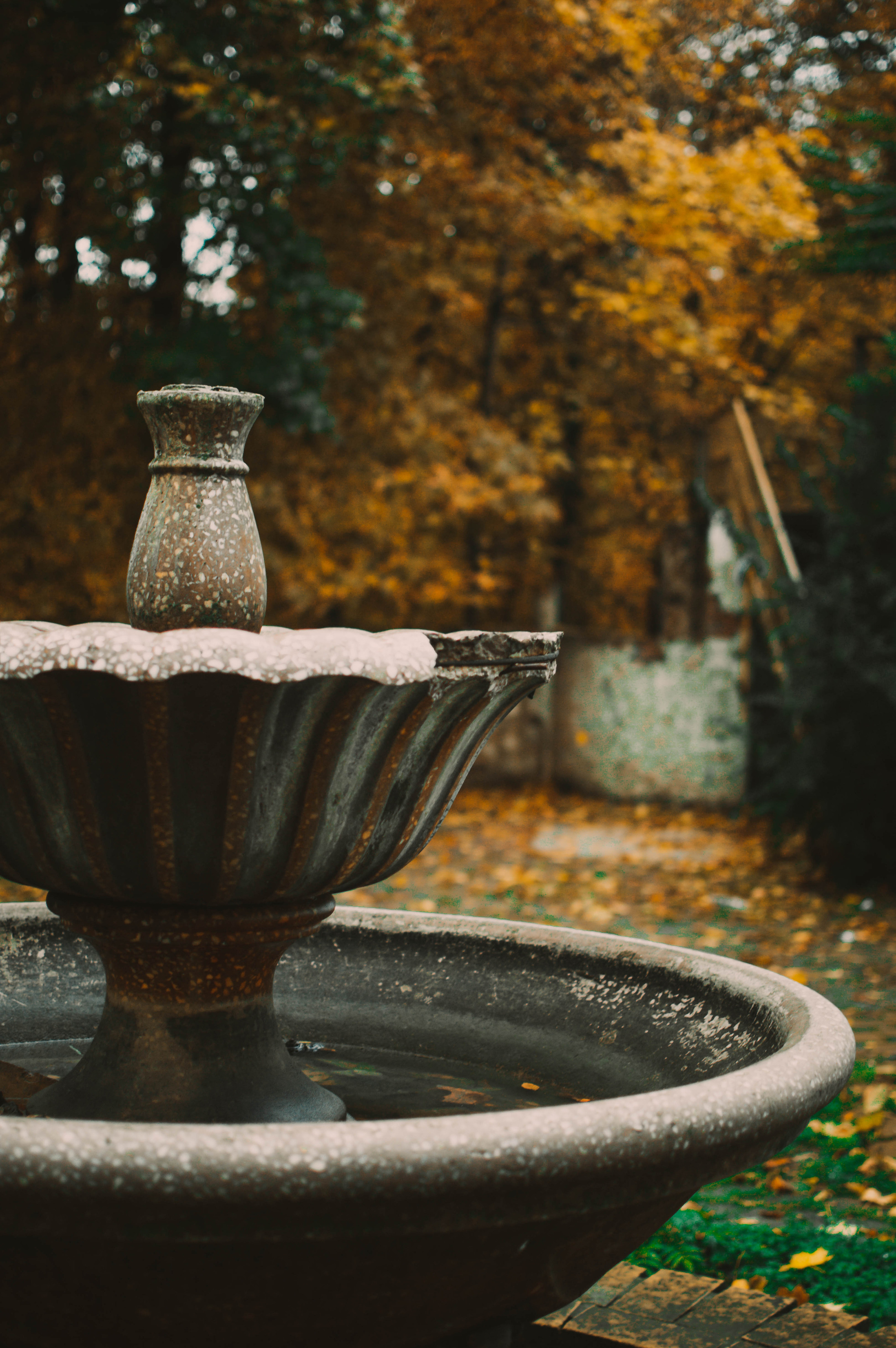 Жизнь. Фотограф в Ростове-на-Дону