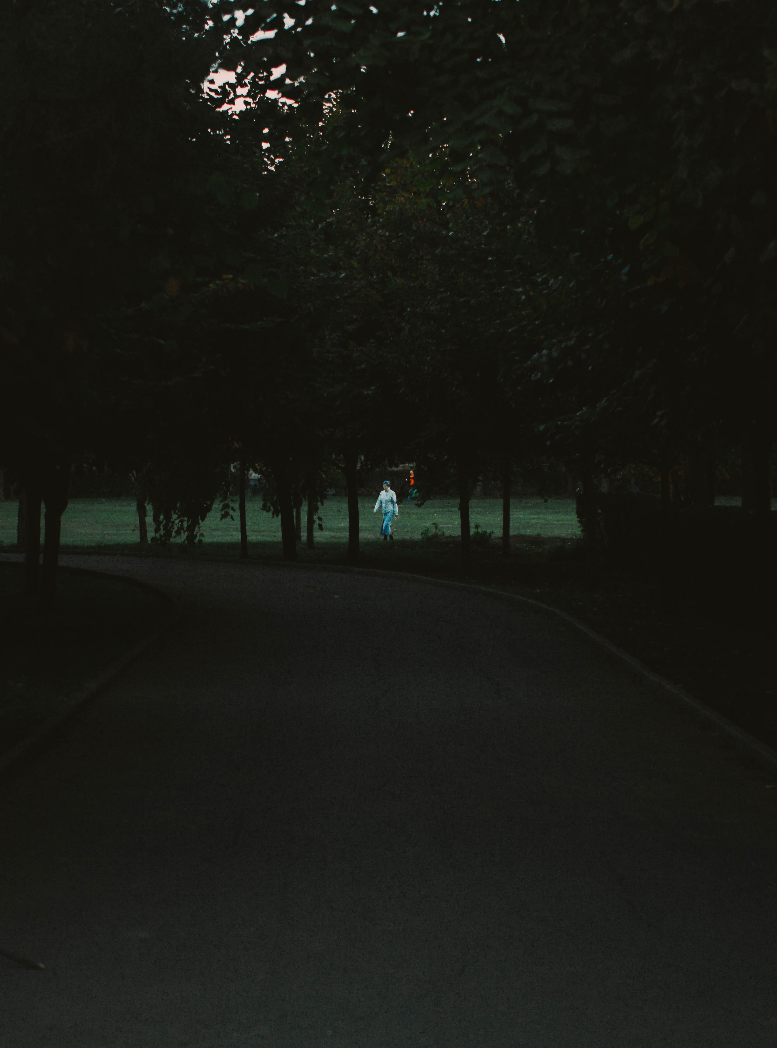 Цветные фотографии. Фотограф в Ростове-на-Дону