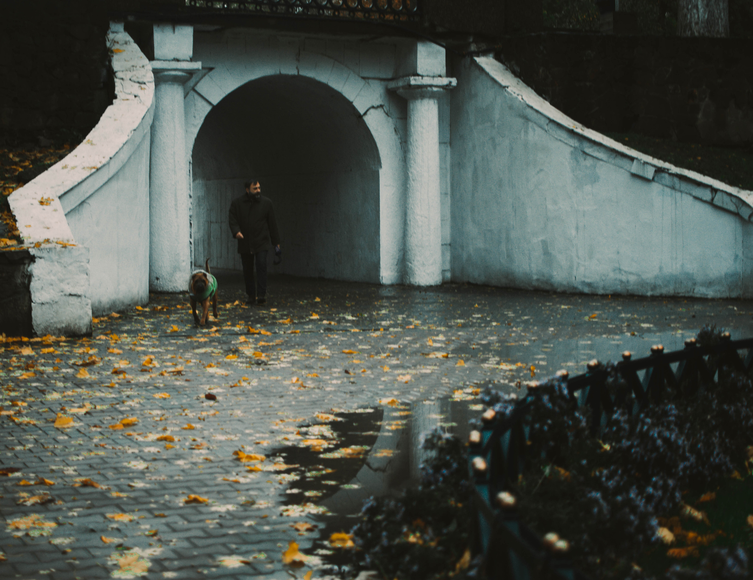 Цветные фотографии. Фотограф в Ростове-на-Дону